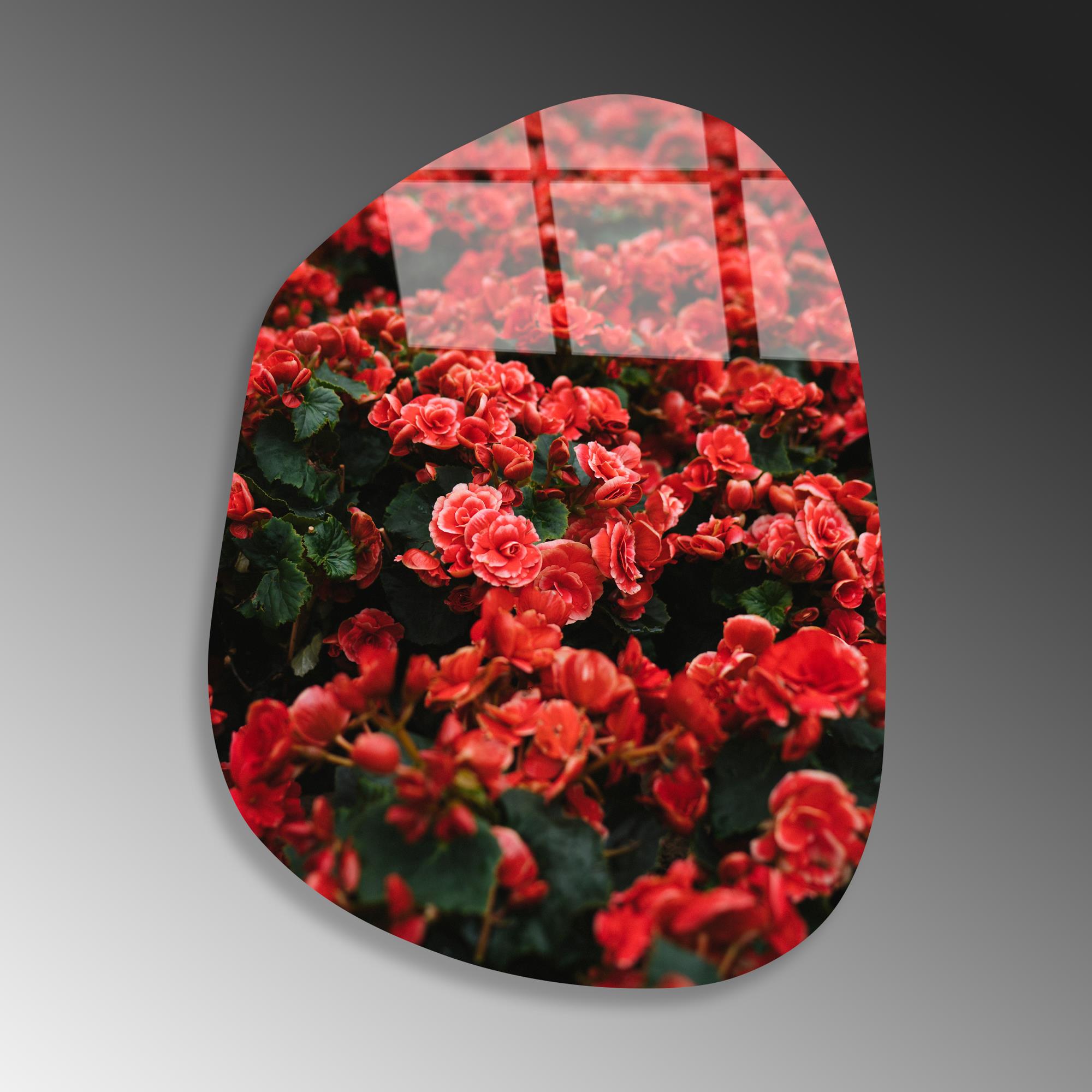 UV-1093 Baskılı Cam Amorf Duvar Tablosu | ByLamp