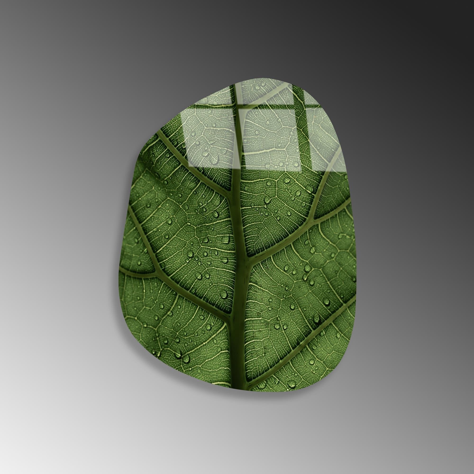 UV-1119 Baskılı Cam Amorf Duvar Tablosu | ByLamp