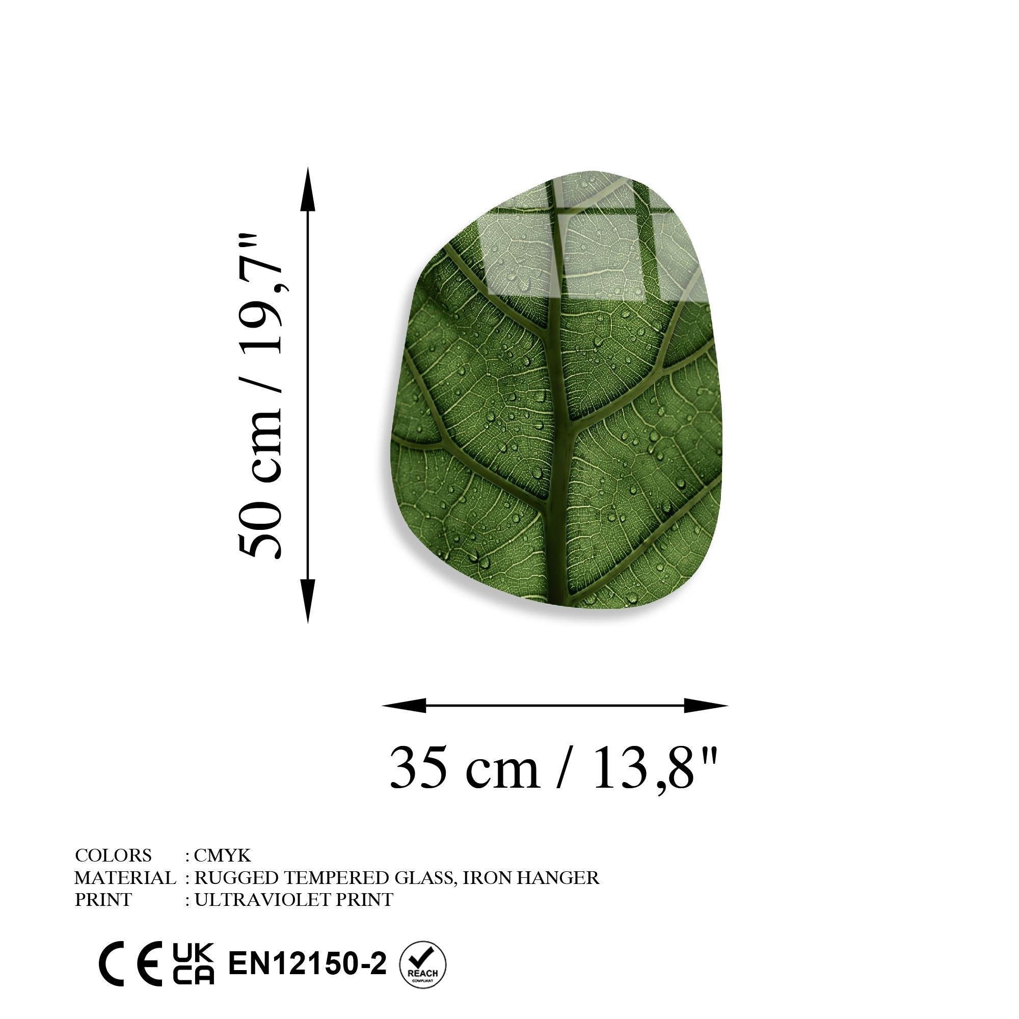 UV-1119 Baskılı Cam Amorf Duvar Tablosu | ByLamp