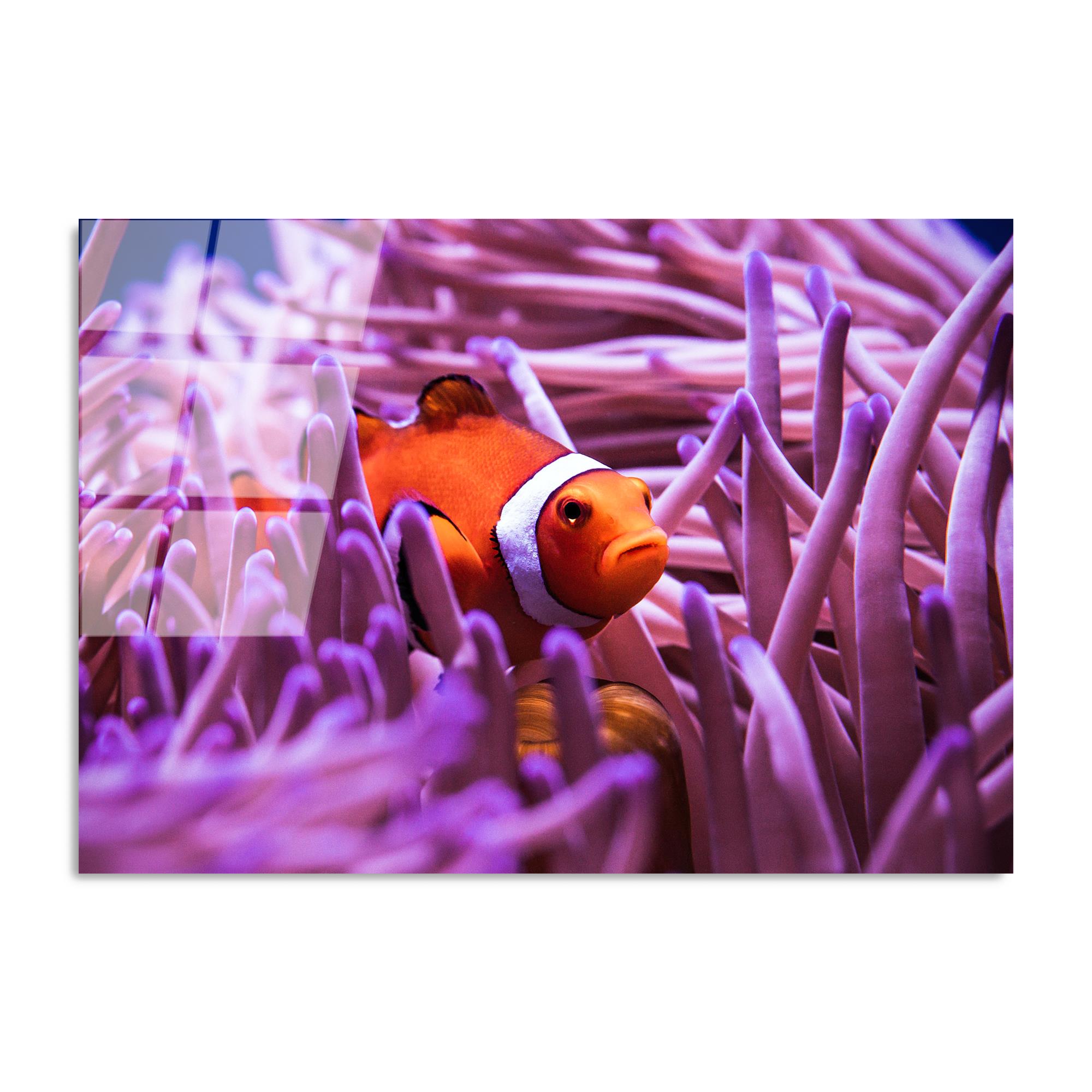 UV-149 Baskılı Cam Dikdörtgen Duvar Tablosu | ByLamp