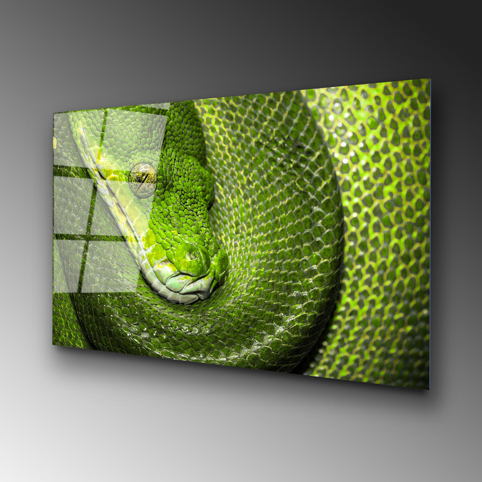 UV-150 Baskılı Cam Dikdörtgen Duvar Tablosu | ByLamp