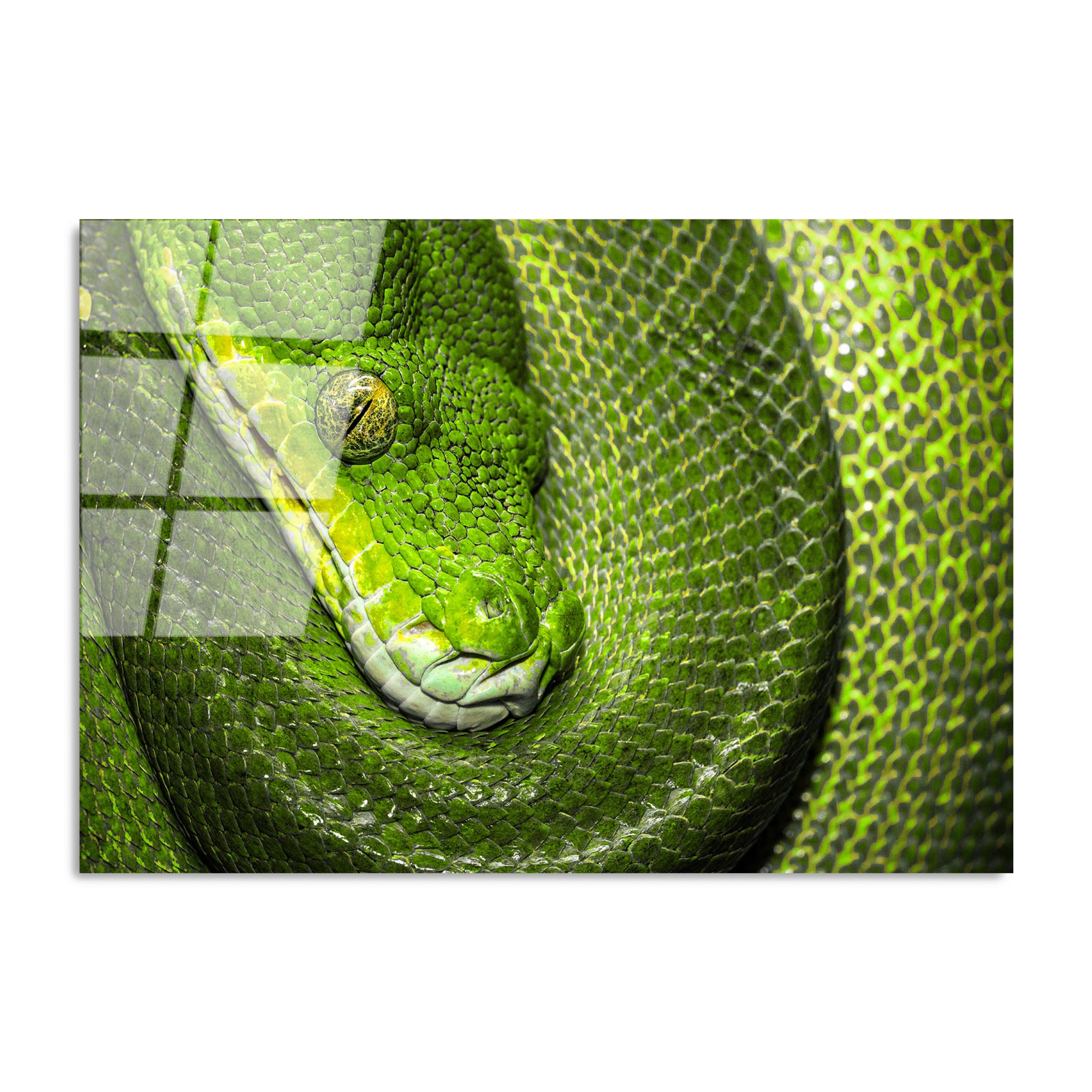 UV-150 Baskılı Cam Dikdörtgen Duvar Tablosu | ByLamp