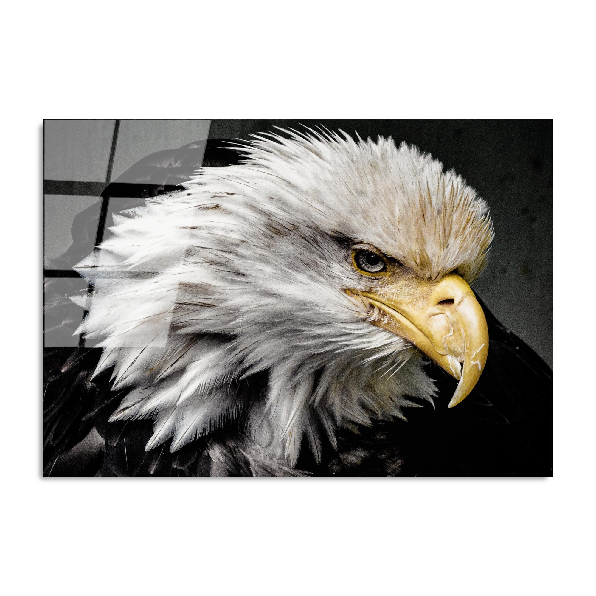 UV-162 Baskılı Cam Dikdörtgen Duvar Tablosu | ByLamp