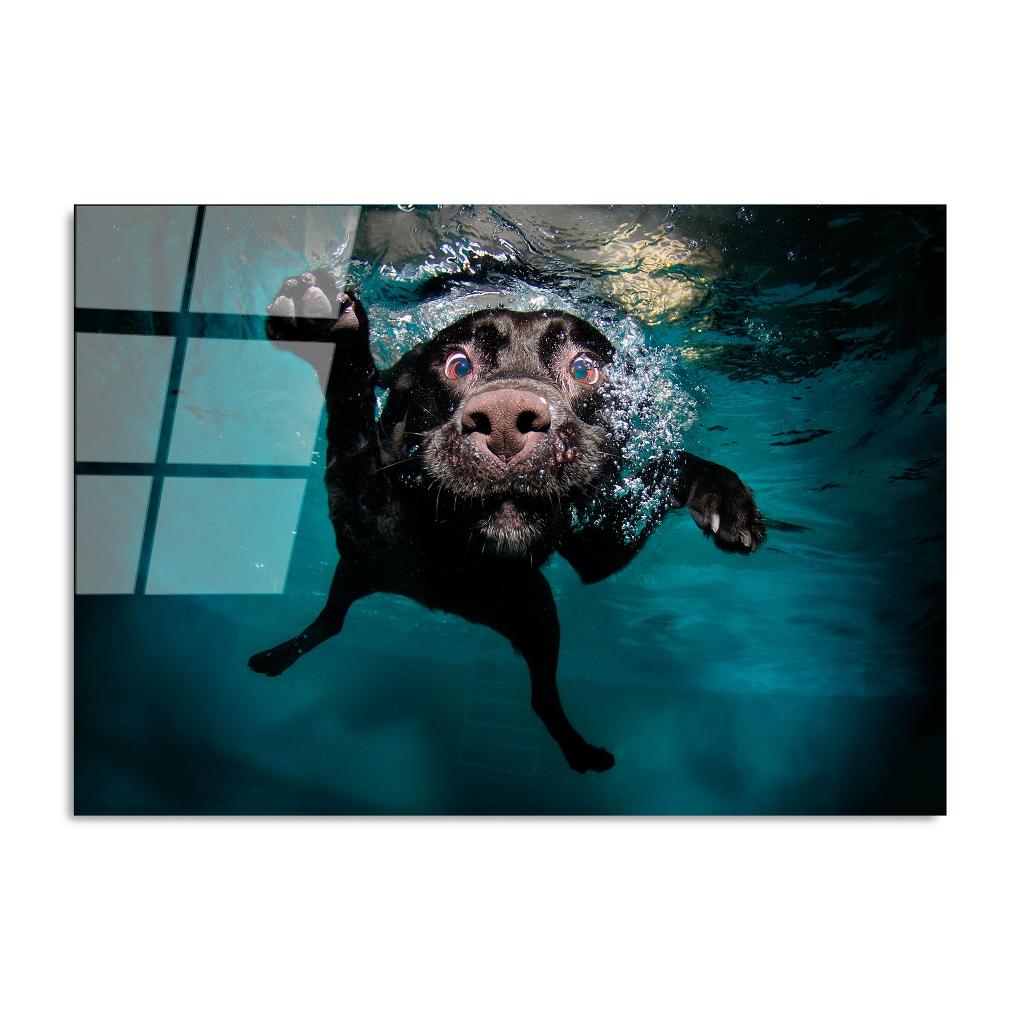 UV-166 Baskılı Cam Dikdörtgen Duvar Tablosu | ByLamp