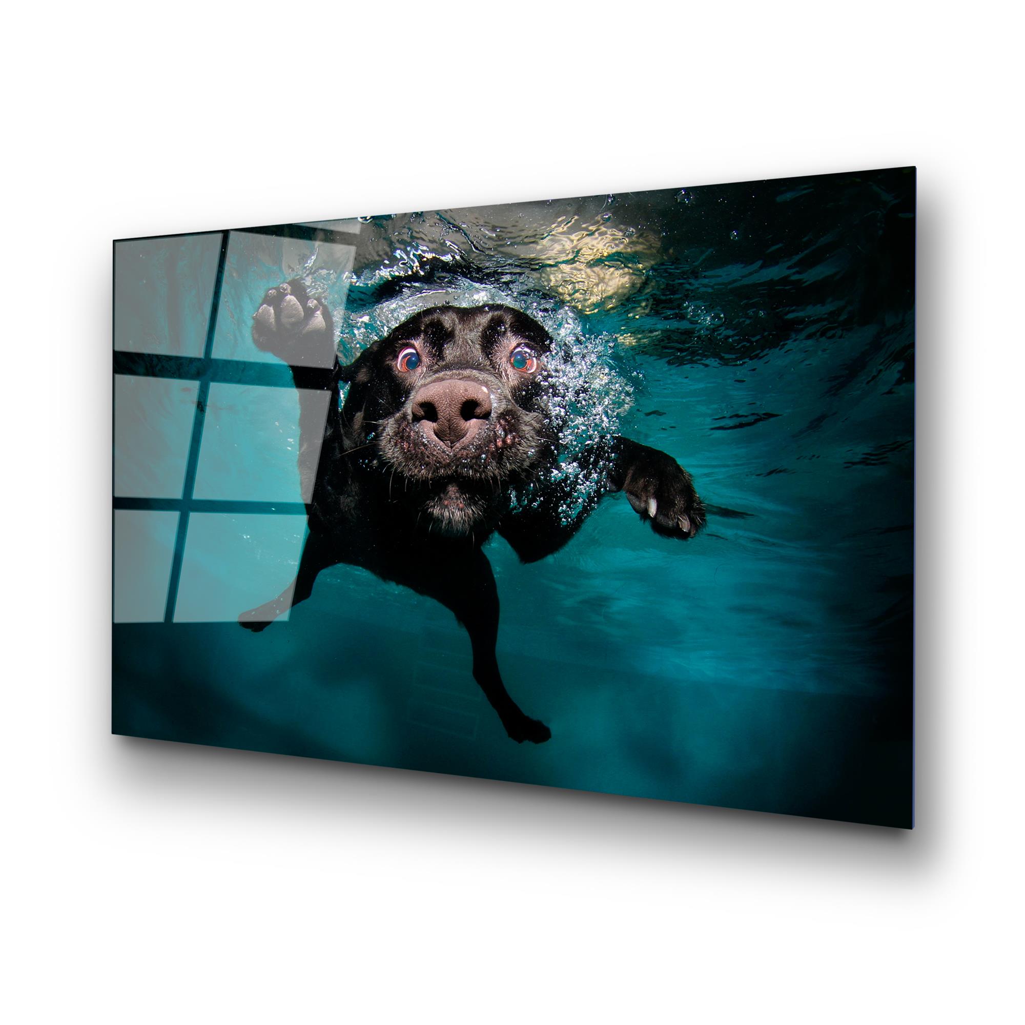 UV-166 Baskılı Cam Dikdörtgen Duvar Tablosu | ByLamp