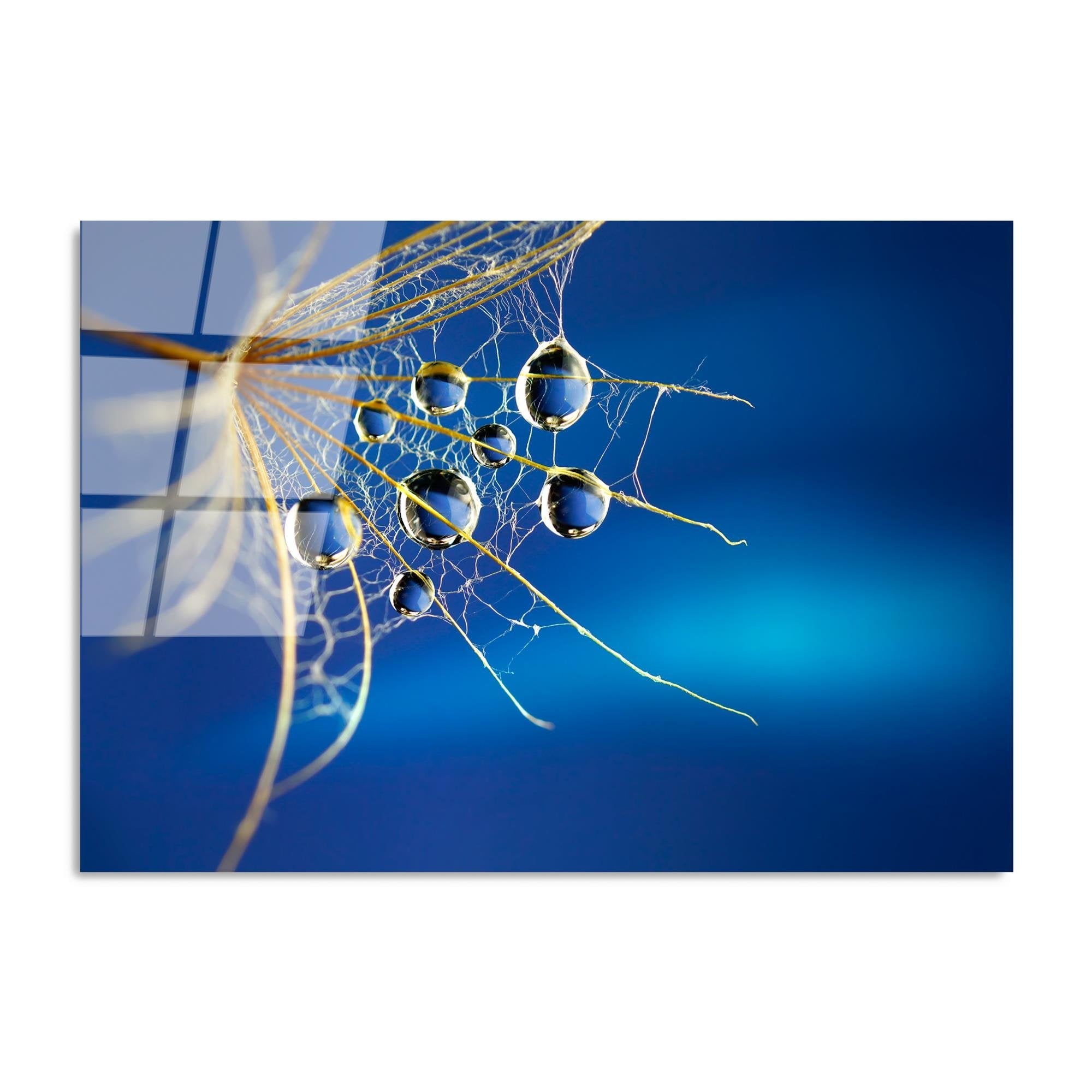 UV-176 Baskılı Cam Dikdörtgen Duvar Tablosu | ByLamp