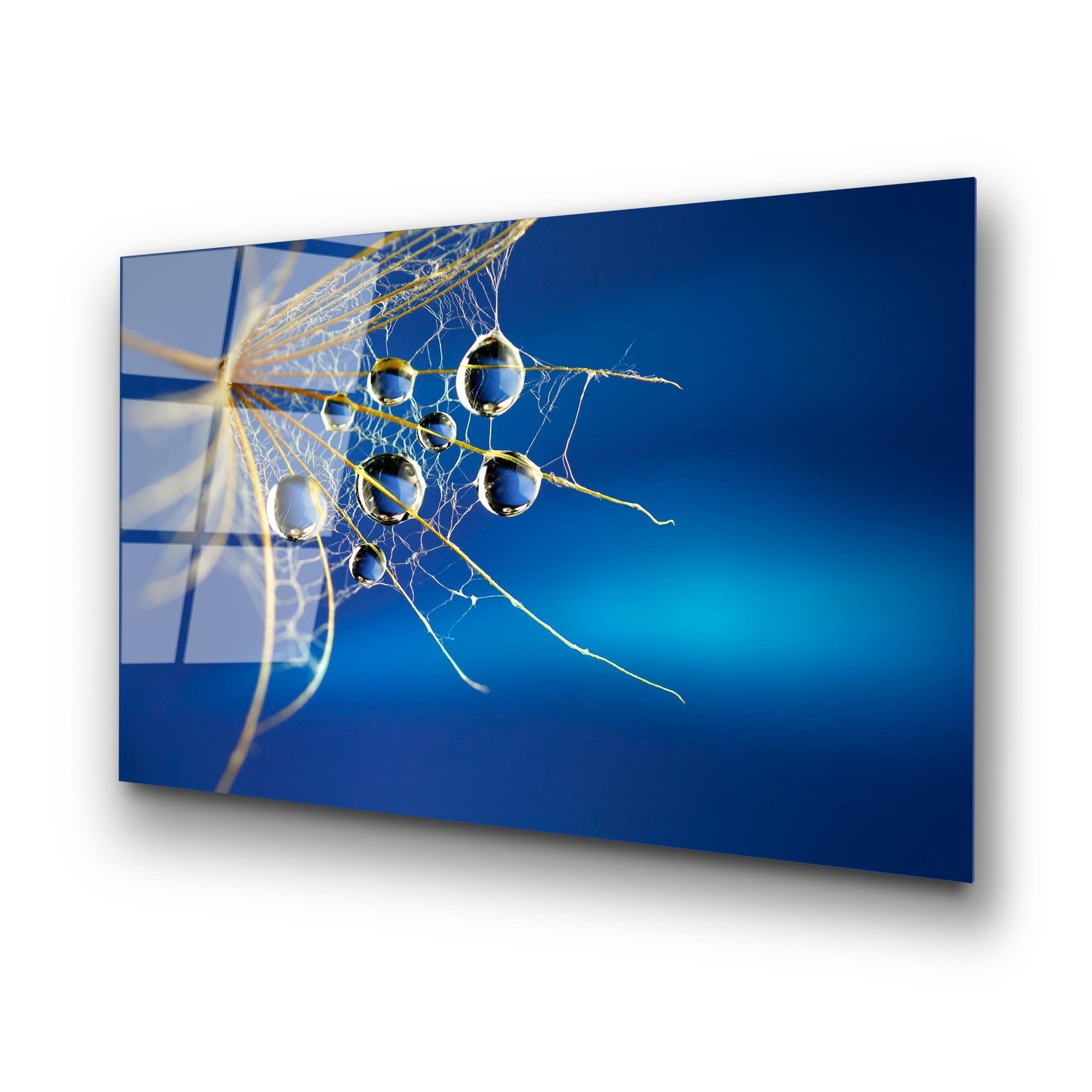 UV-176 Baskılı Cam Dikdörtgen Duvar Tablosu | ByLamp