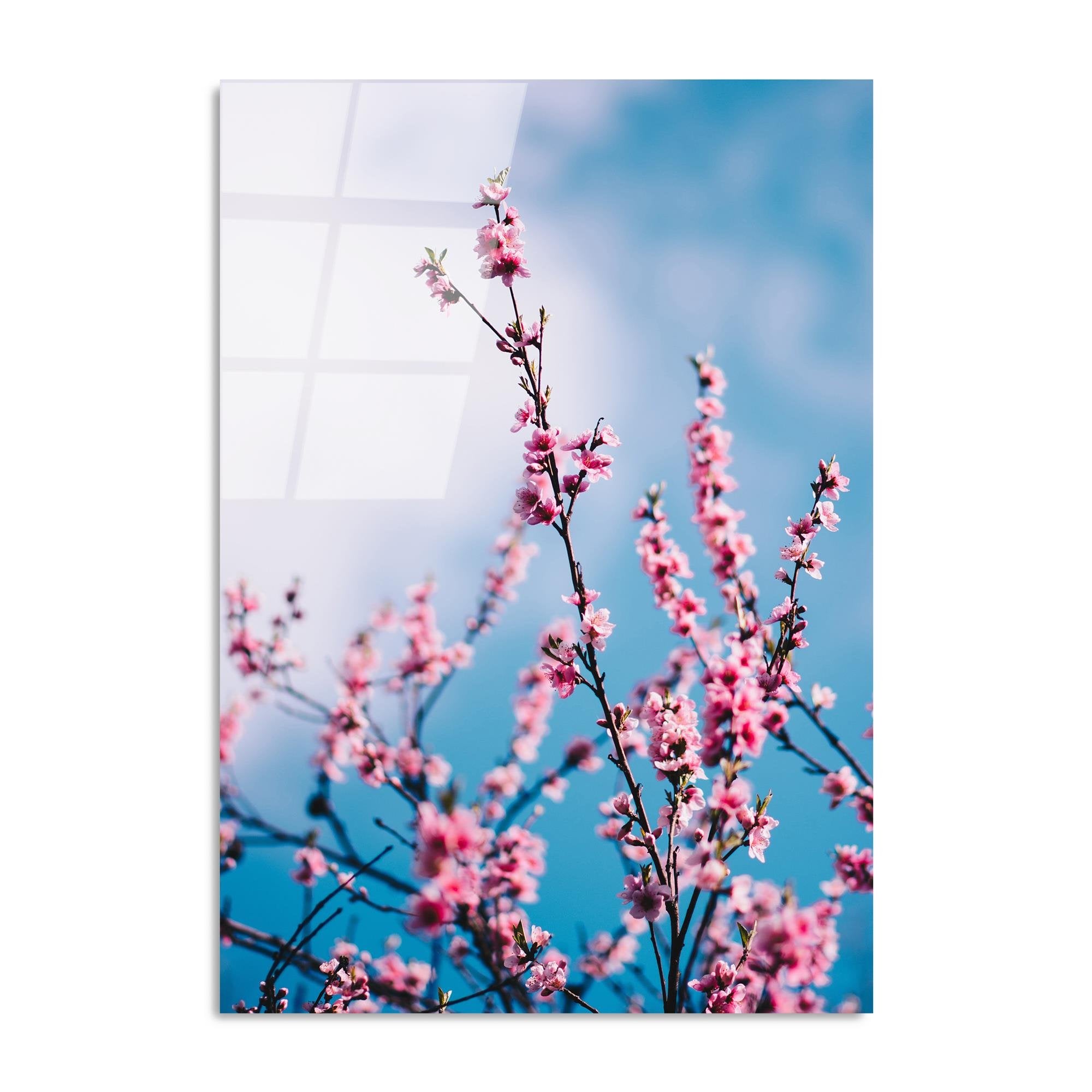 UV-186 Baskılı Cam Dikdörtgen Duvar Tablosu | ByLamp