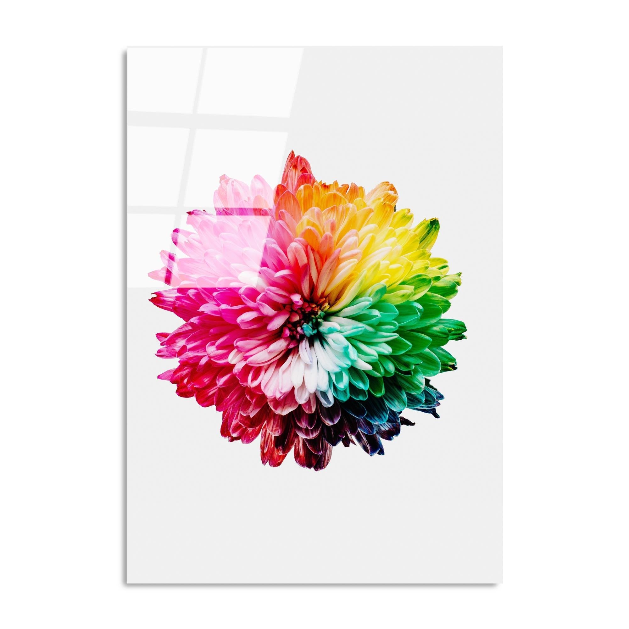 UV-202 Baskılı Cam Dikdörtgen Duvar Tablosu | ByLamp