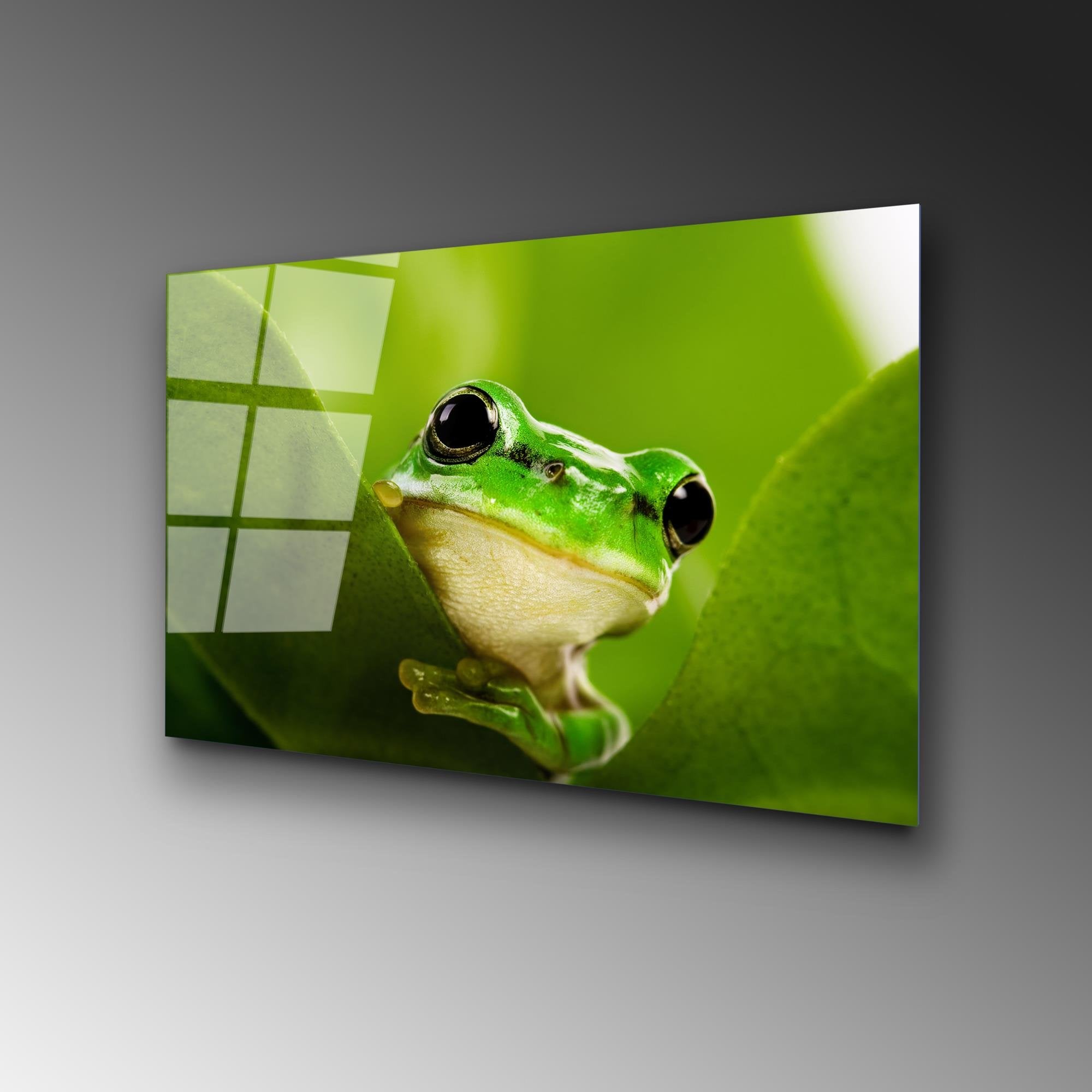 UV-271 Baskılı Cam Dikdörtgen Duvar Tablosu | ByLamp