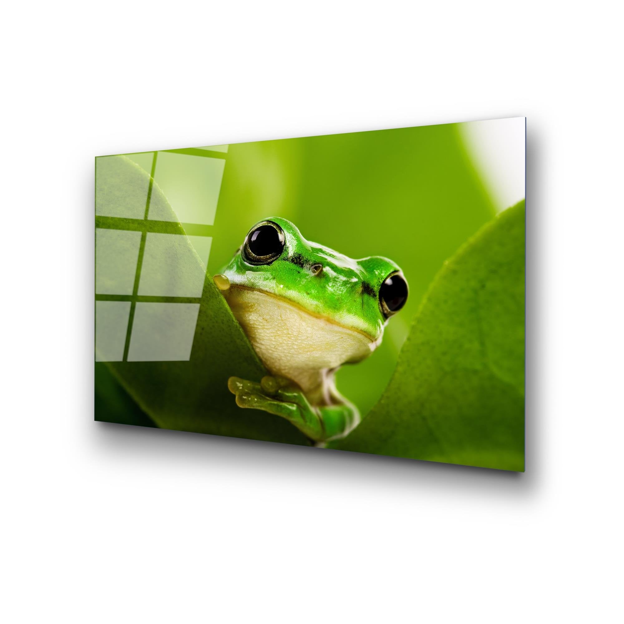 UV-271 Baskılı Cam Dikdörtgen Duvar Tablosu | ByLamp