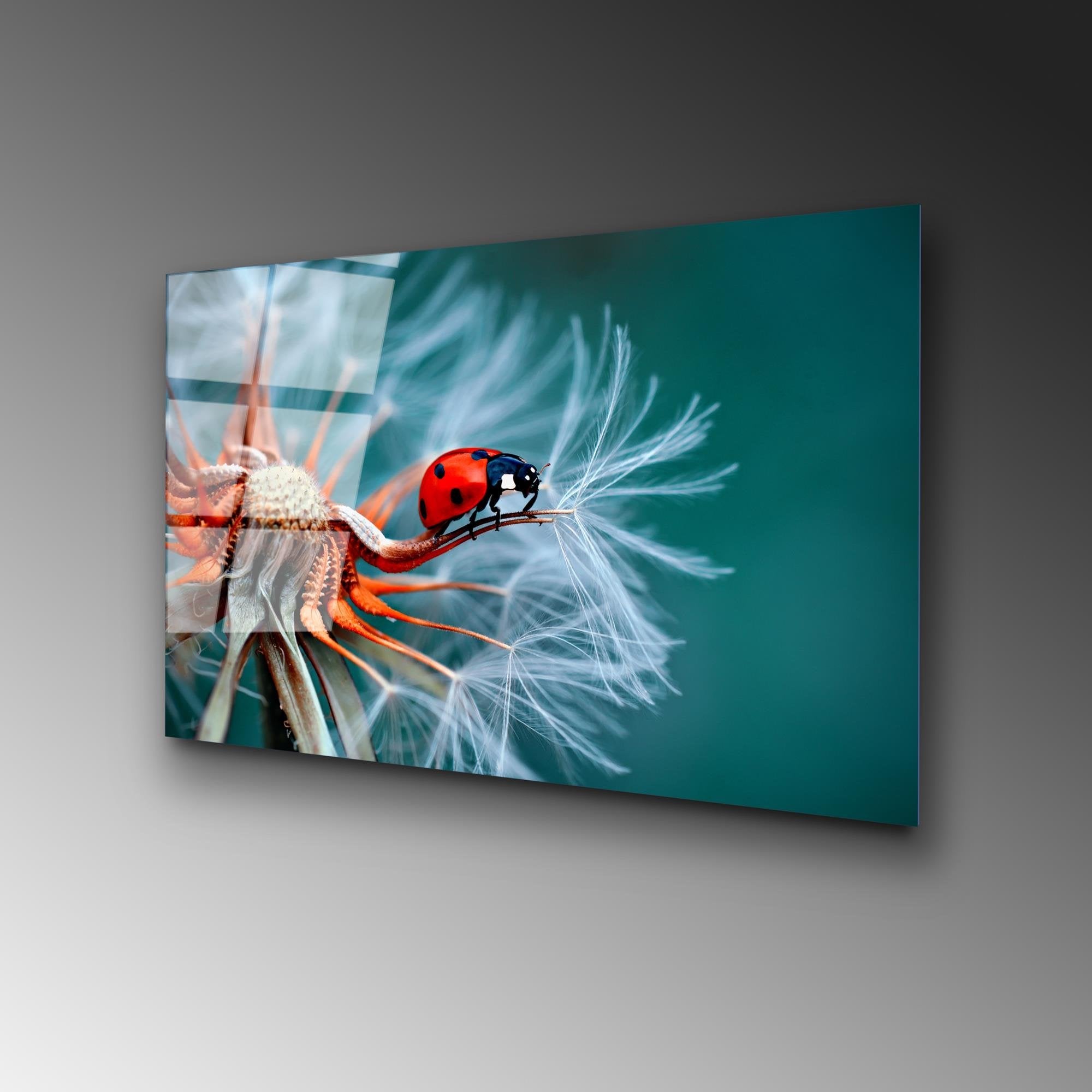 UV-277 Baskılı Cam Dikdörtgen Duvar Tablosu | ByLamp