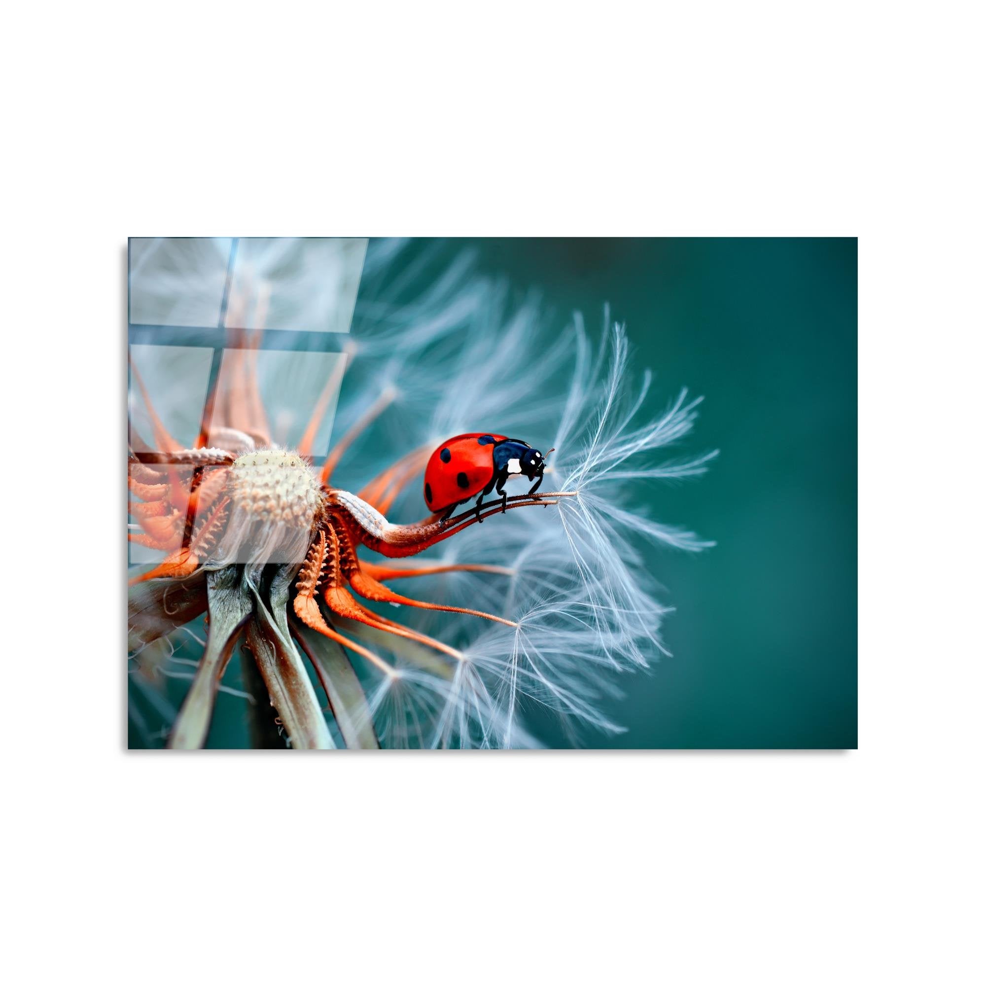 UV-277 Baskılı Cam Dikdörtgen Duvar Tablosu | ByLamp