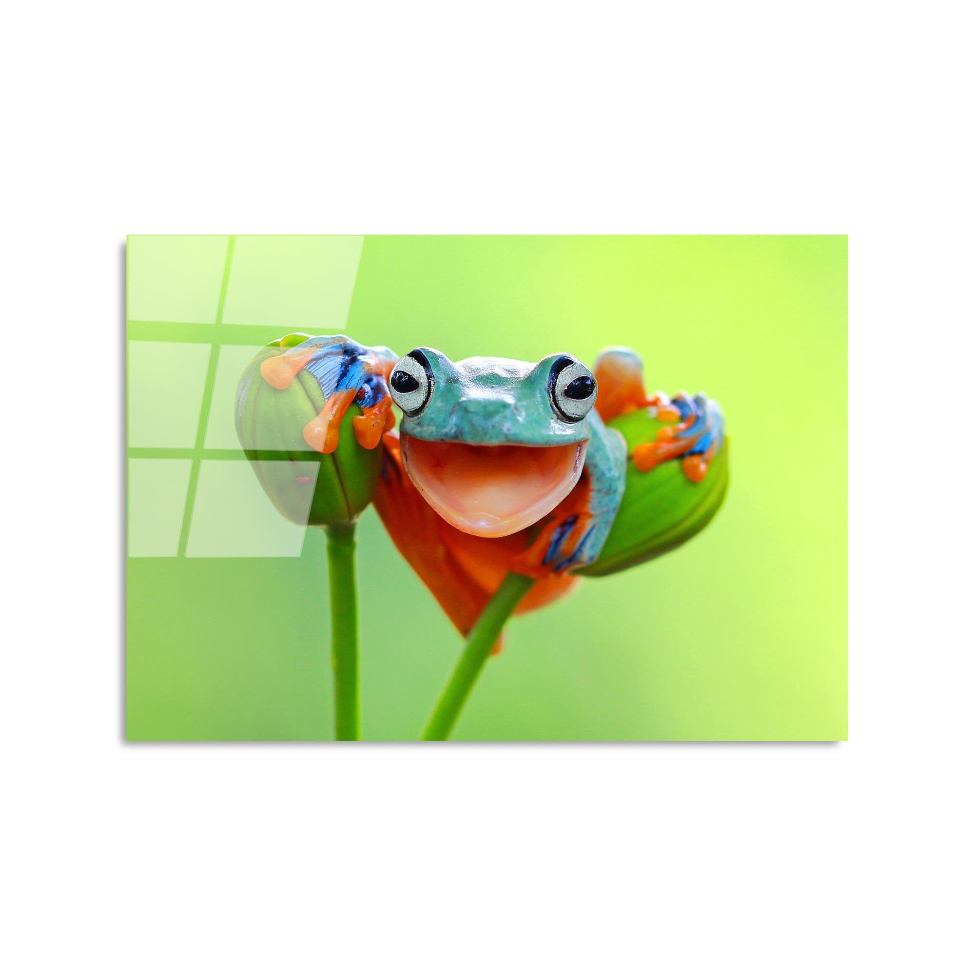 UV-278 Baskılı Cam Dikdörtgen Duvar Tablosu | ByLamp