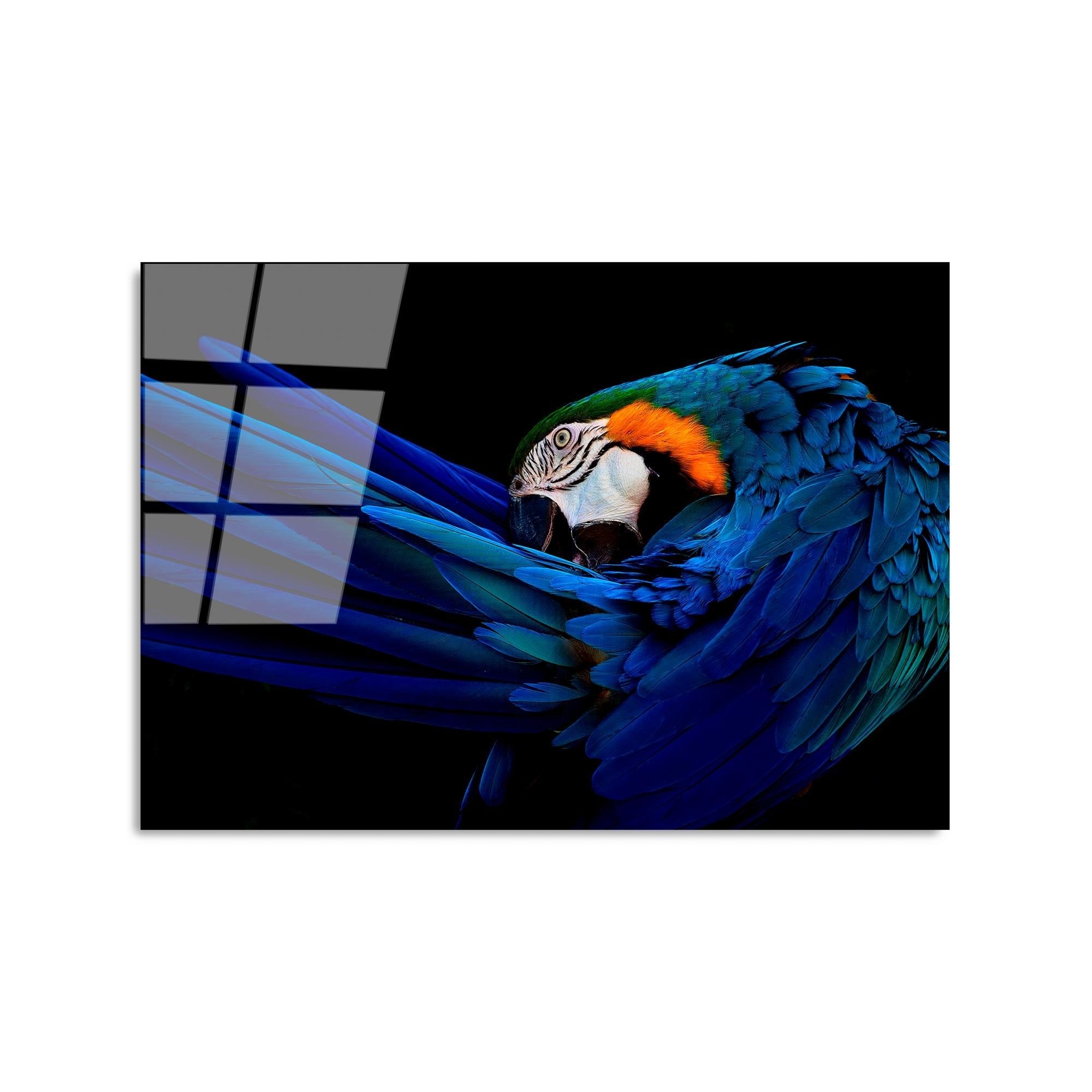 UV-285 Baskılı Cam Dikdörtgen Duvar Tablosu | ByLamp