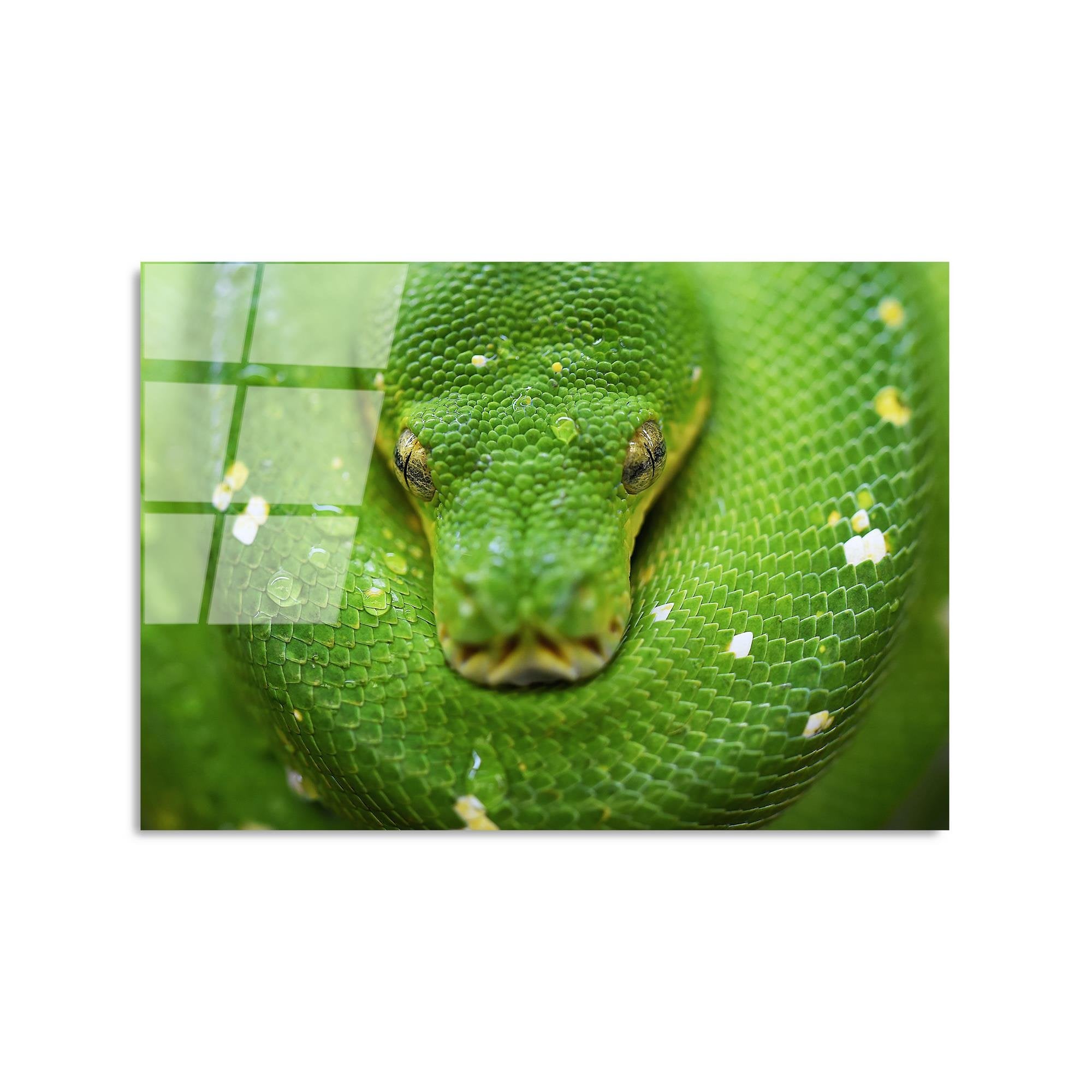 UV-287  Baskılı Cam Dikdörtgen Duvar Tablosu | ByLamp