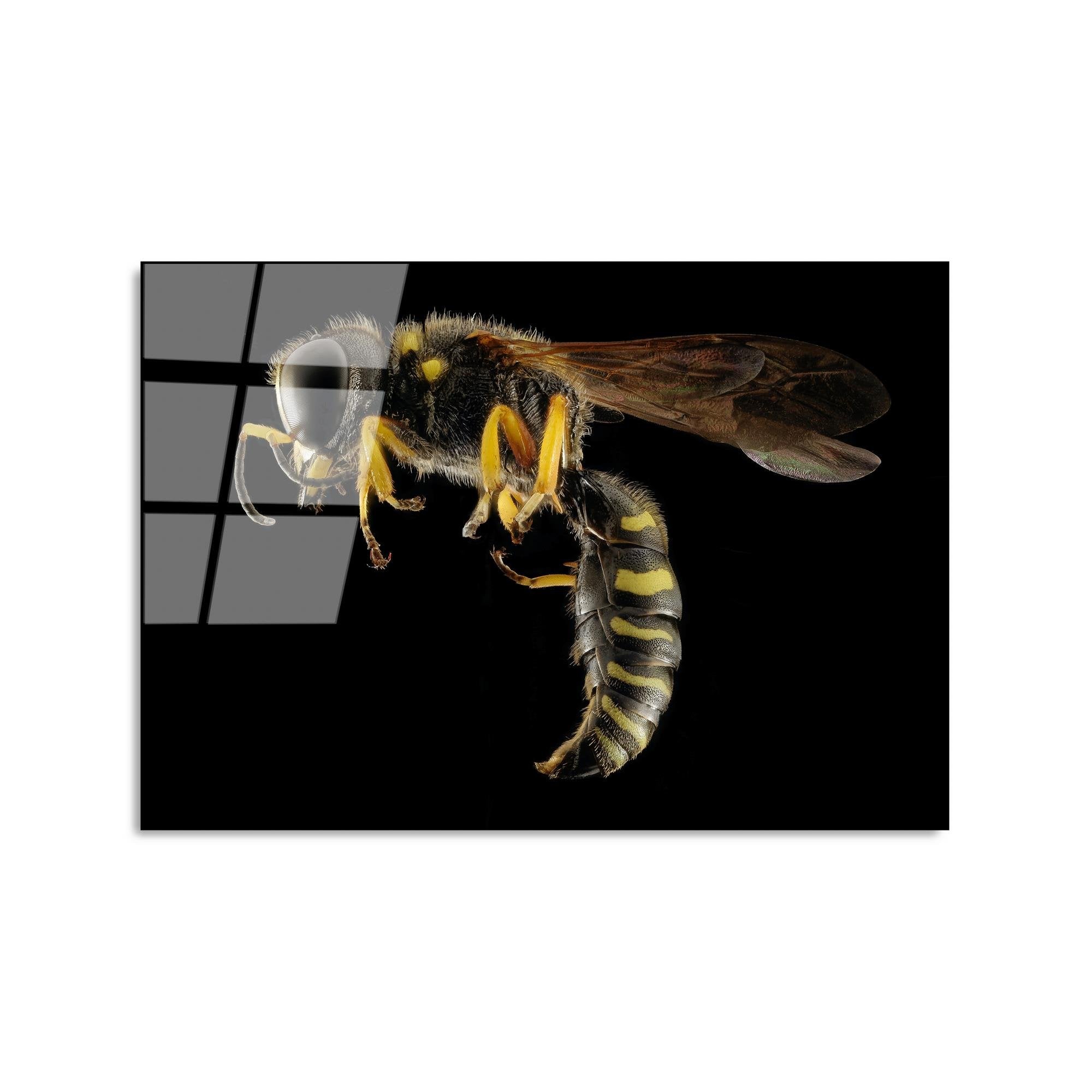 UV-292 Baskılı Cam Dikdörtgen Duvar Tablosu | ByLamp