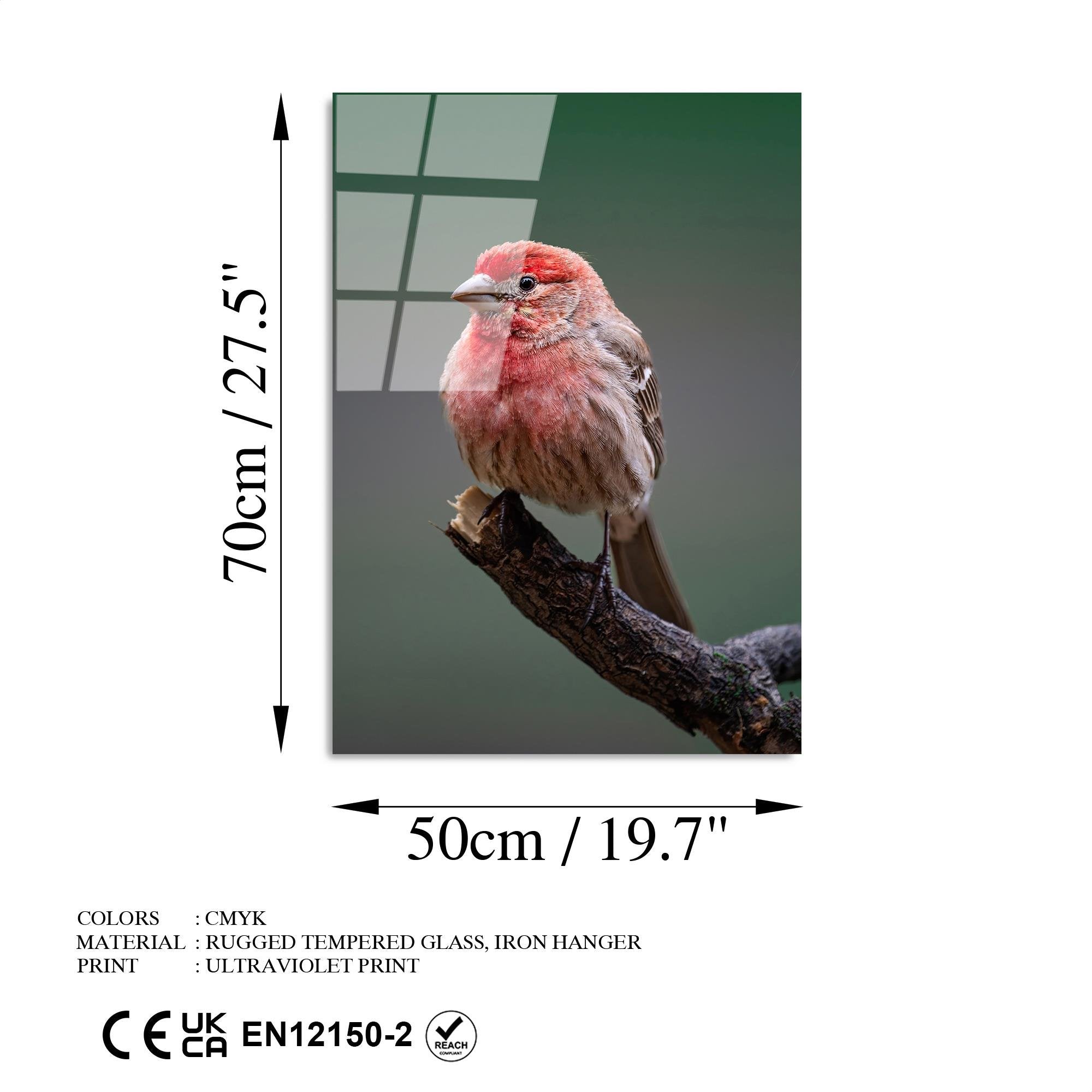 UV-300 Baskılı Cam Dikdörtgen Duvar Tablosu | ByLamp