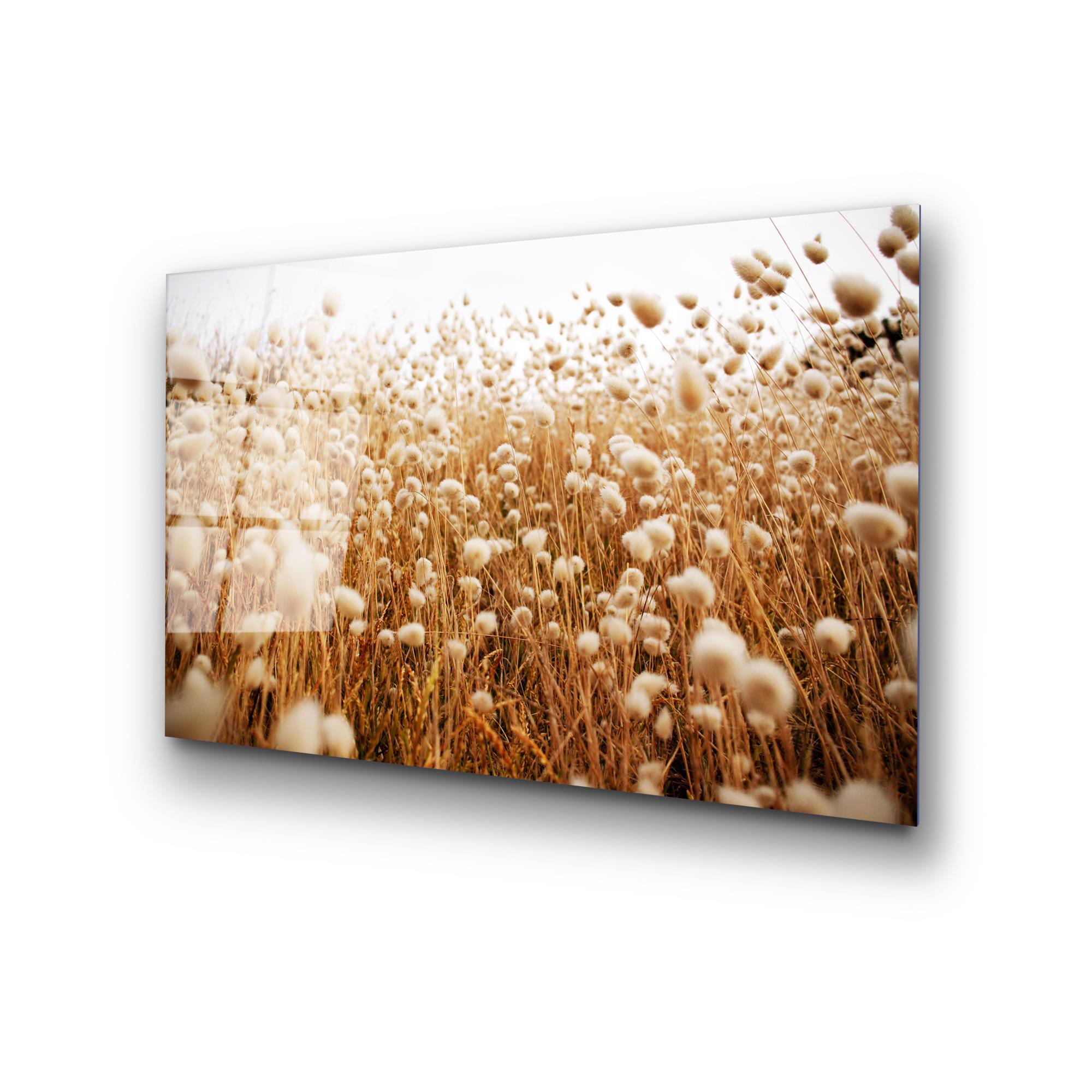 UV-405 Baskılı Cam Dikdörtgen Duvar Tablosu | ByLamp