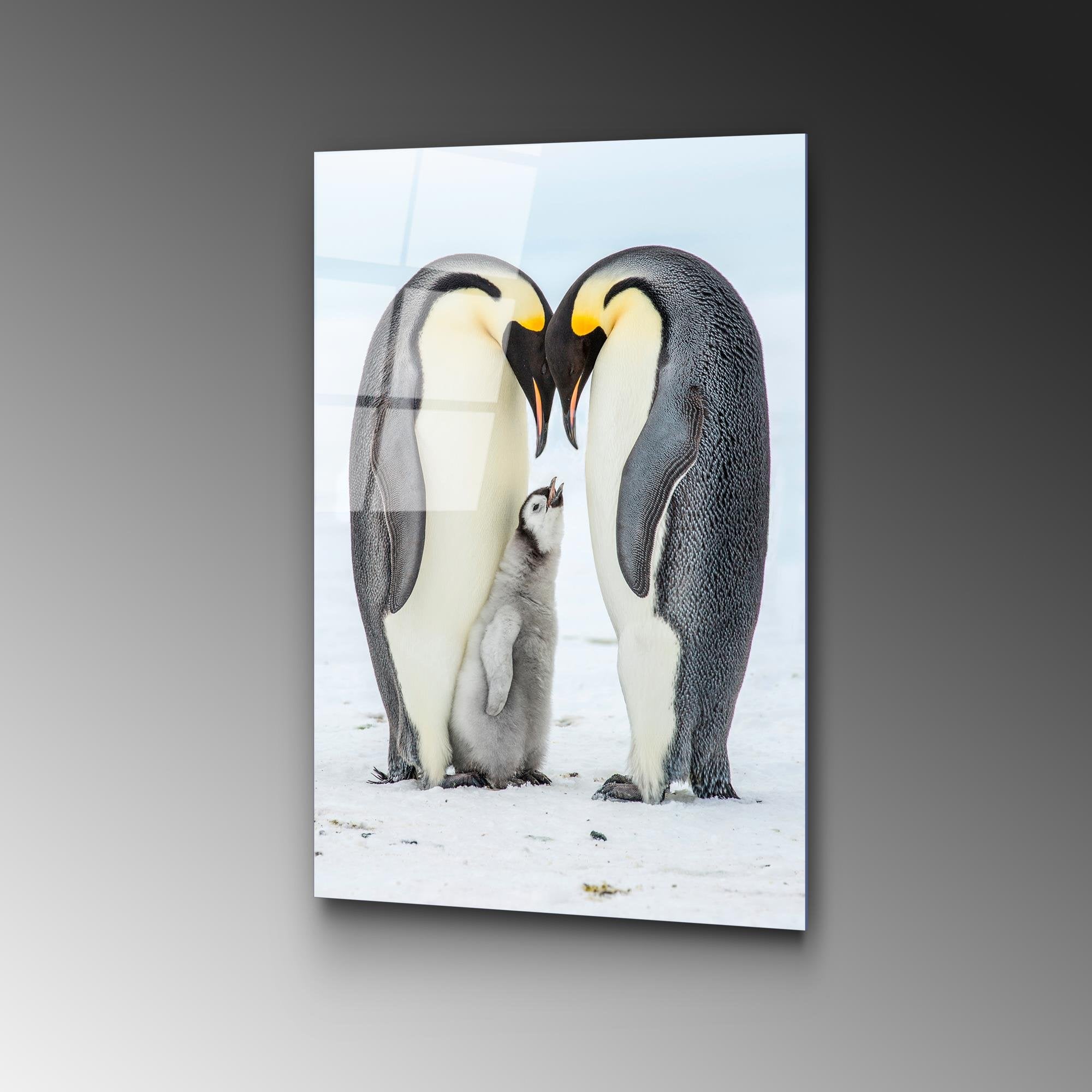 UV-426 Baskılı Cam Dikdörtgen Duvar Tablosu | ByLamp