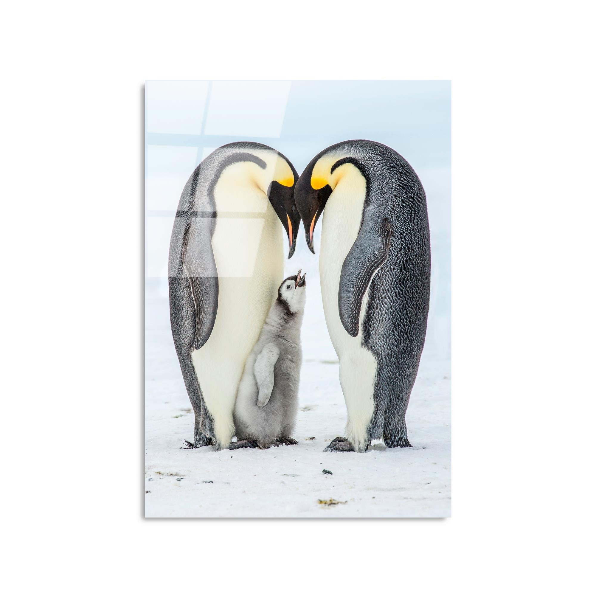 UV-426 Baskılı Cam Dikdörtgen Duvar Tablosu | ByLamp