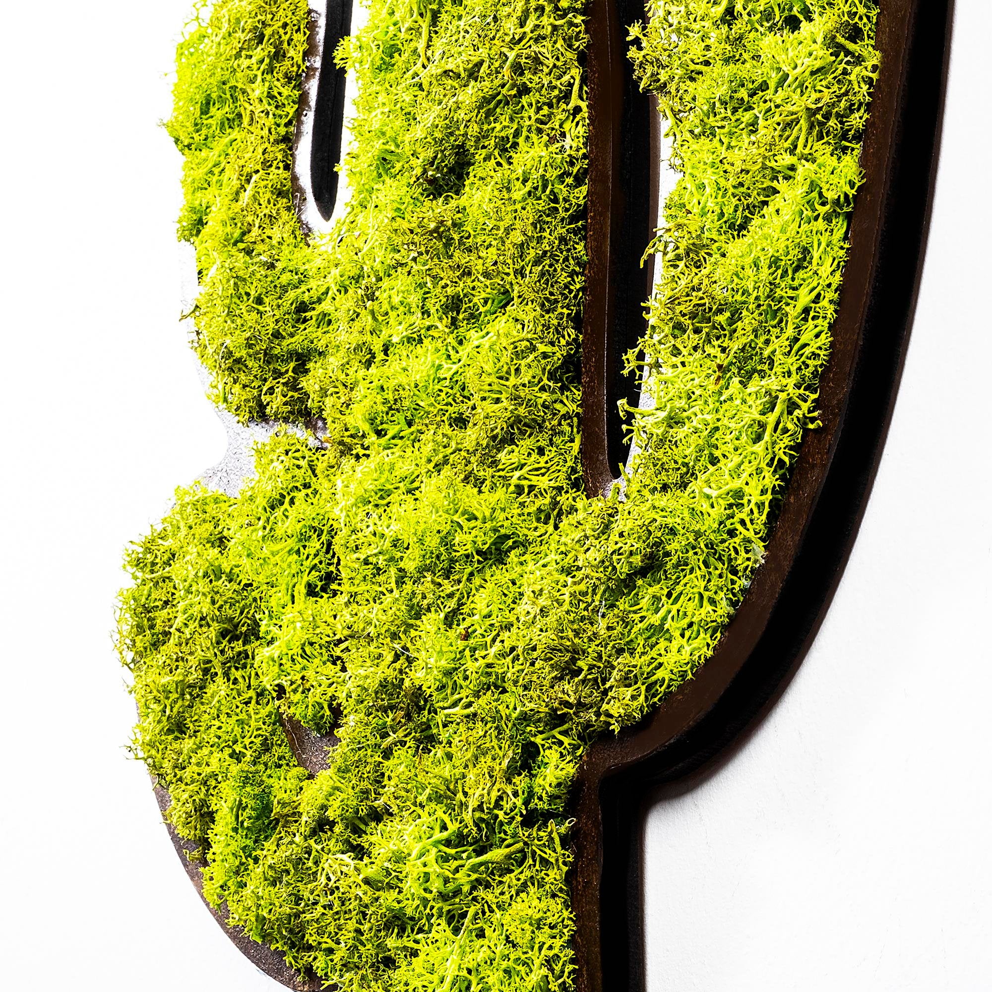 YNS-004 Dekoratif Yosun Duvar Tablosu | ByLamp