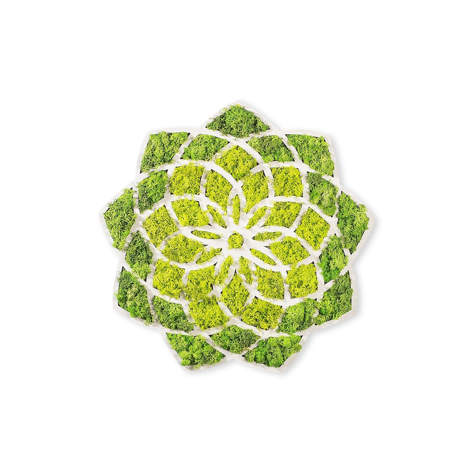 YNS-005 Dekoratif Yosun Duvar Tablosu | ByLamp