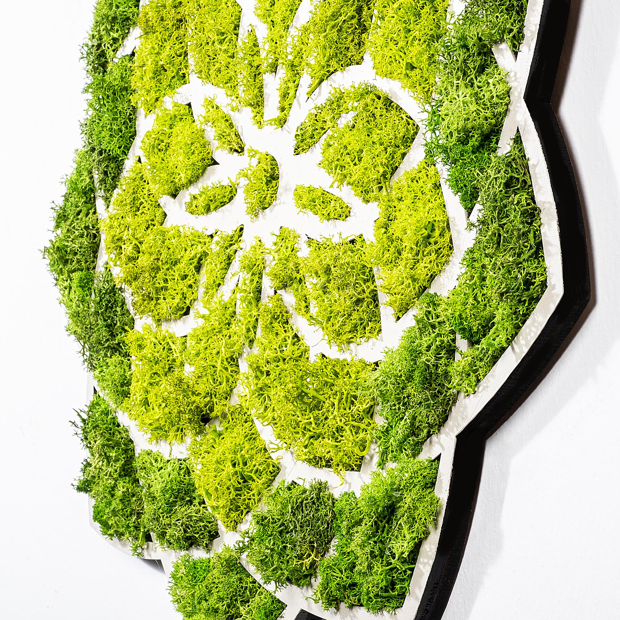 YNS-005 Dekoratif Yosun Duvar Tablosu | ByLamp