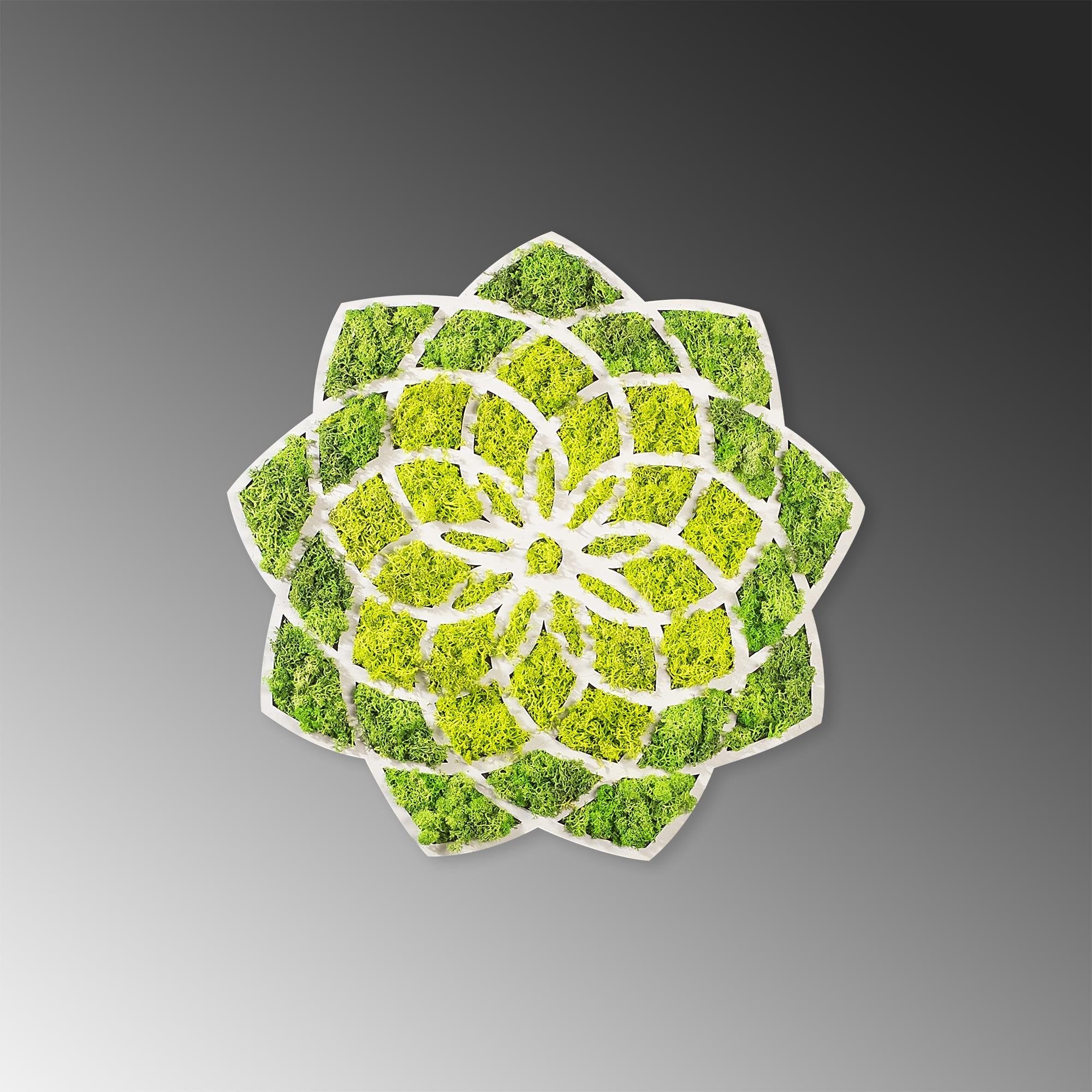 YNS-005 Dekoratif Yosun Duvar Tablosu | ByLamp