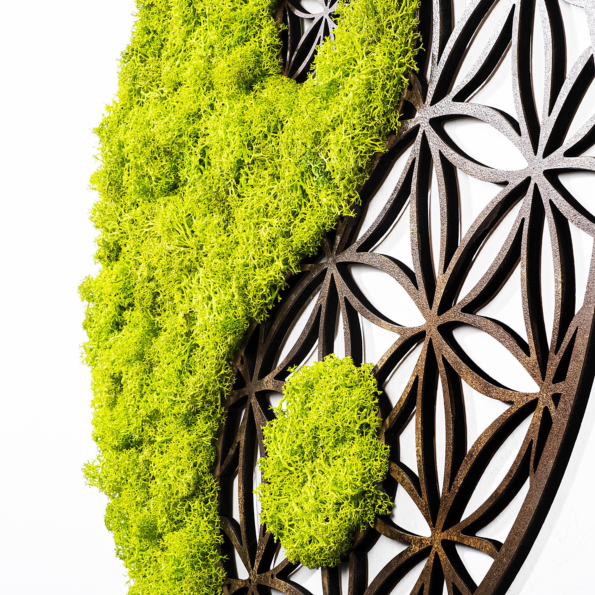 YNS-006 Dekoratif Yosun Duvar Tablosu | ByLamp