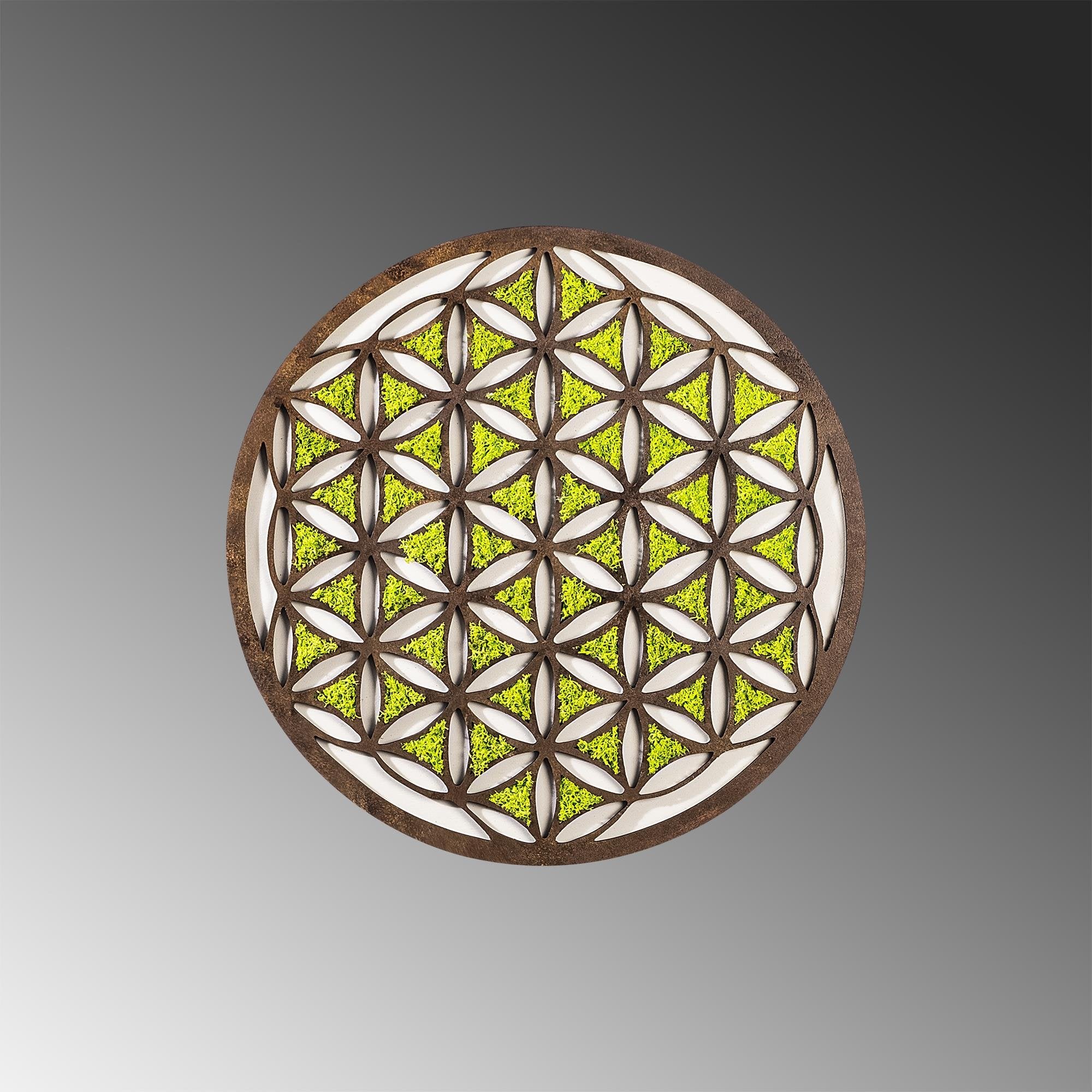 YNS-007 Dekoratif Yosun Duvar Tablosu | ByLamp