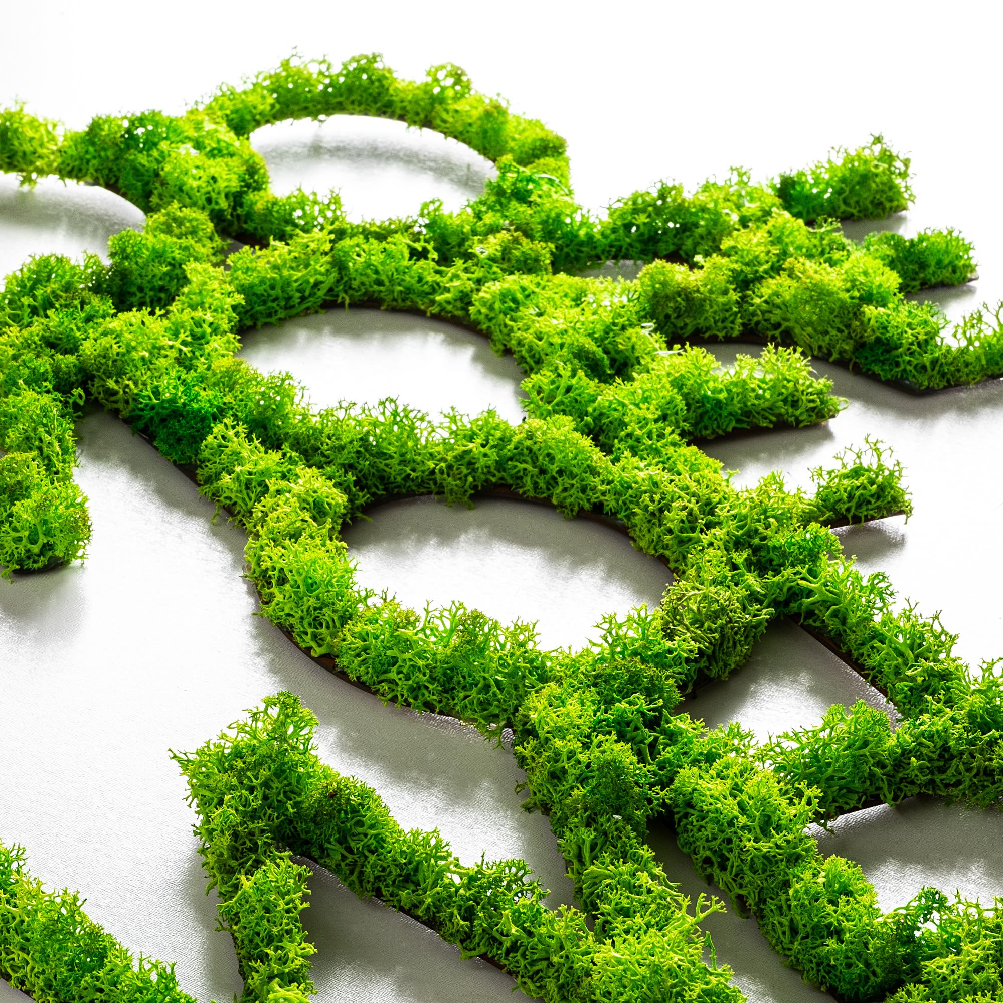 YNS-016 Dekoratif Yosun Duvar Tablosu | ByLamp