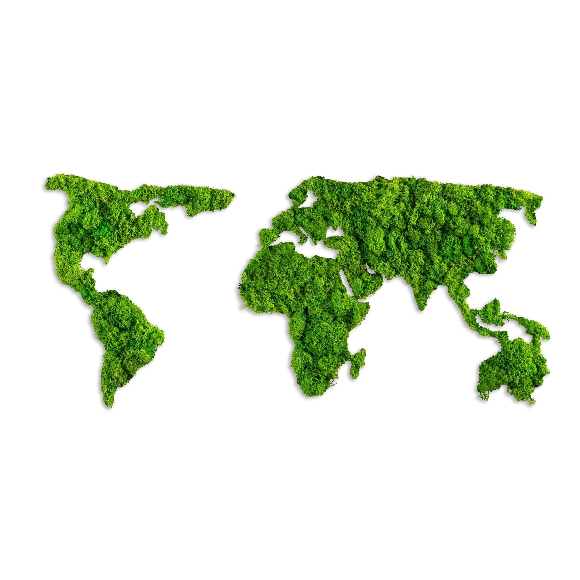 YNS-017 Dekoratif Yosun Duvar Tablosu | ByLamp