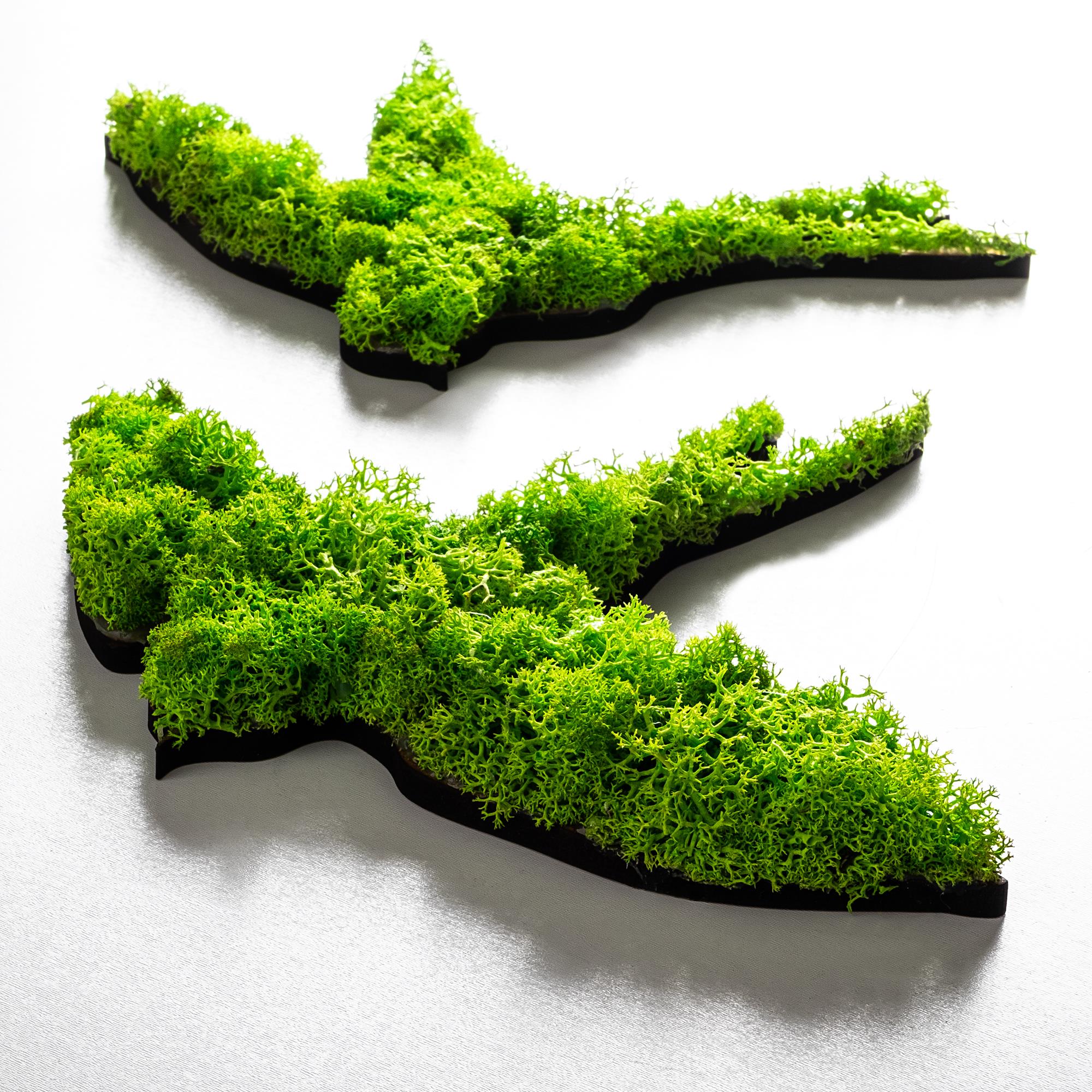 YNS-018 Dekoratif Yosun Duvar Tablosu | ByLamp