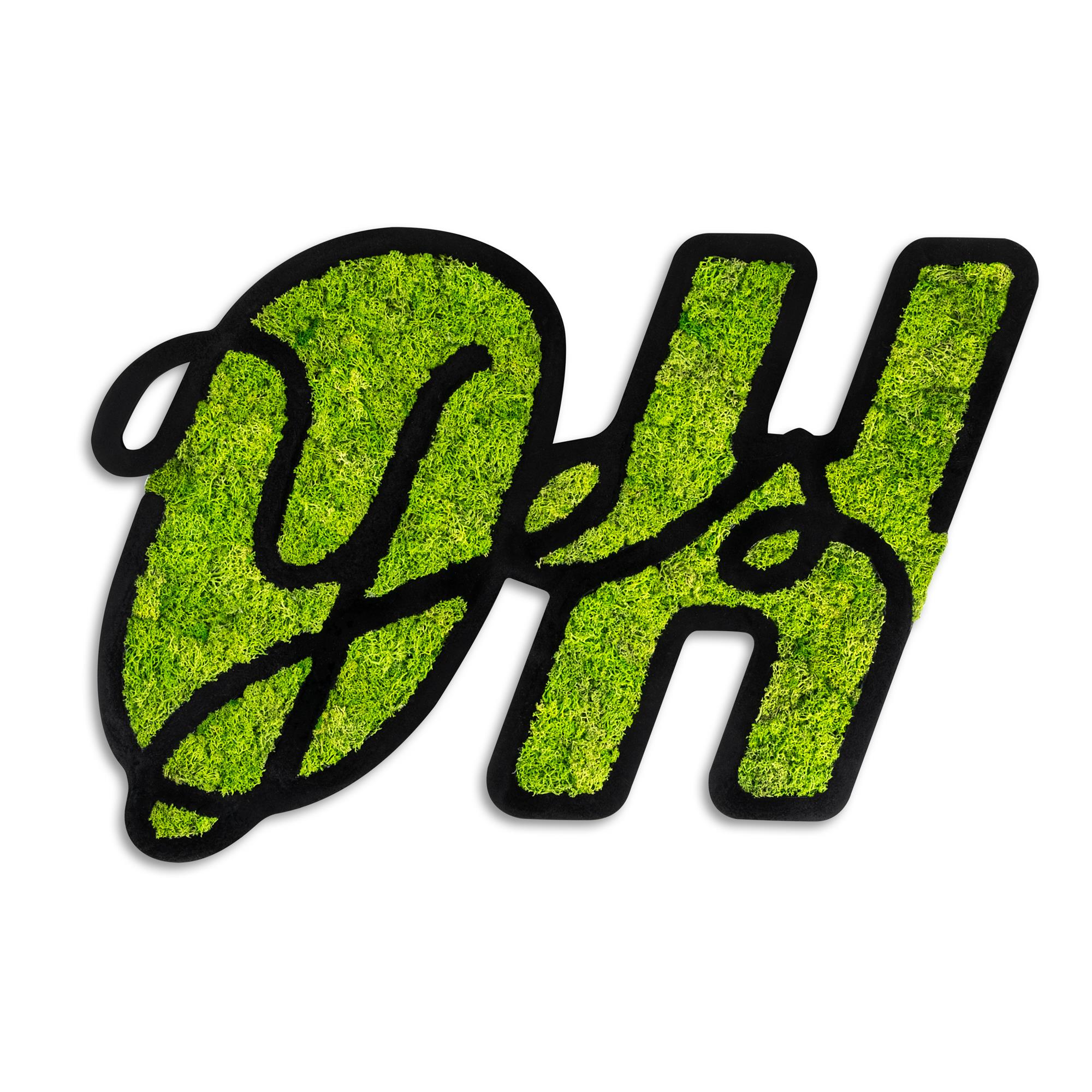 YNS-023 Dekoratif Yosun Duvar Tablosu | ByLamp