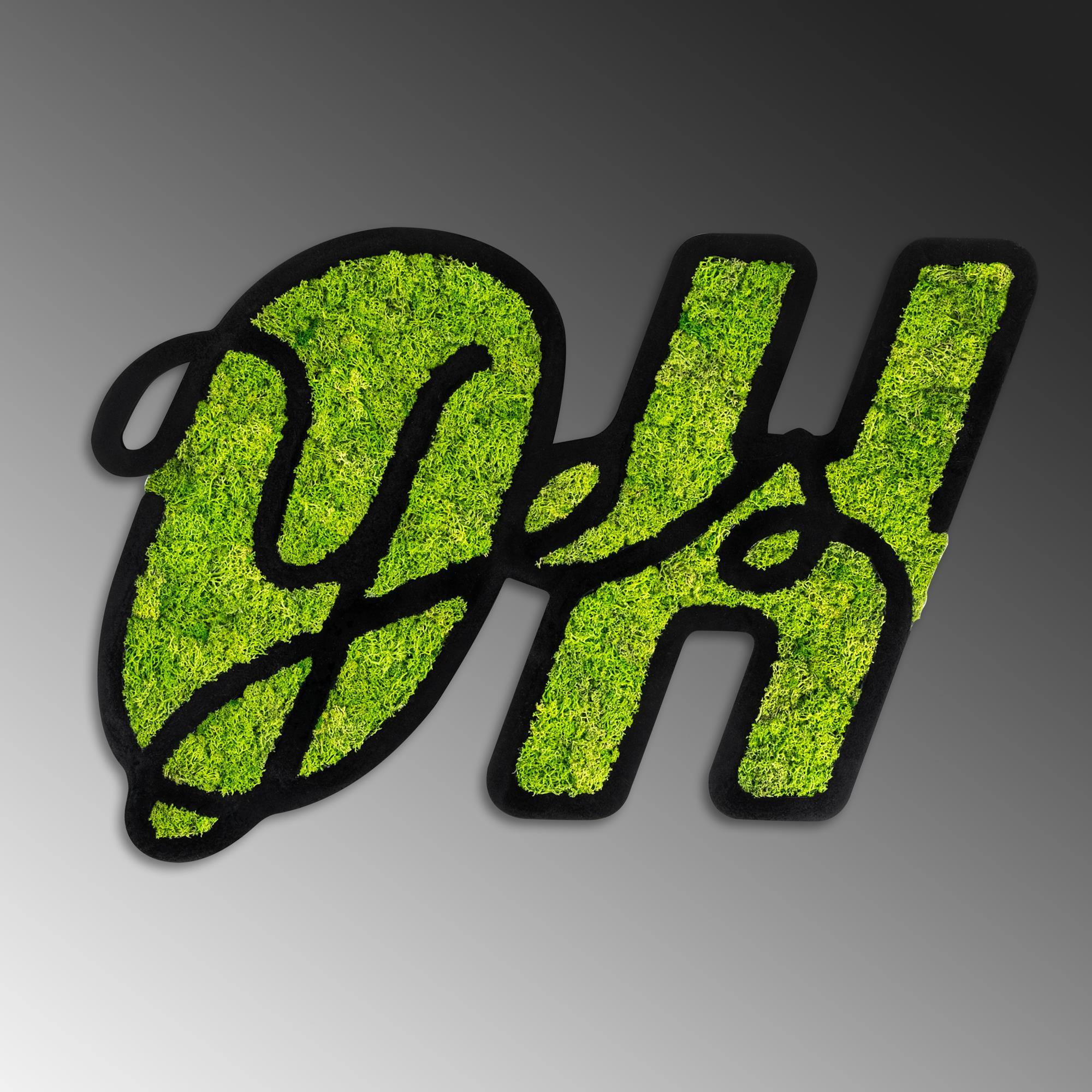 YNS-023 Dekoratif Yosun Duvar Tablosu | ByLamp