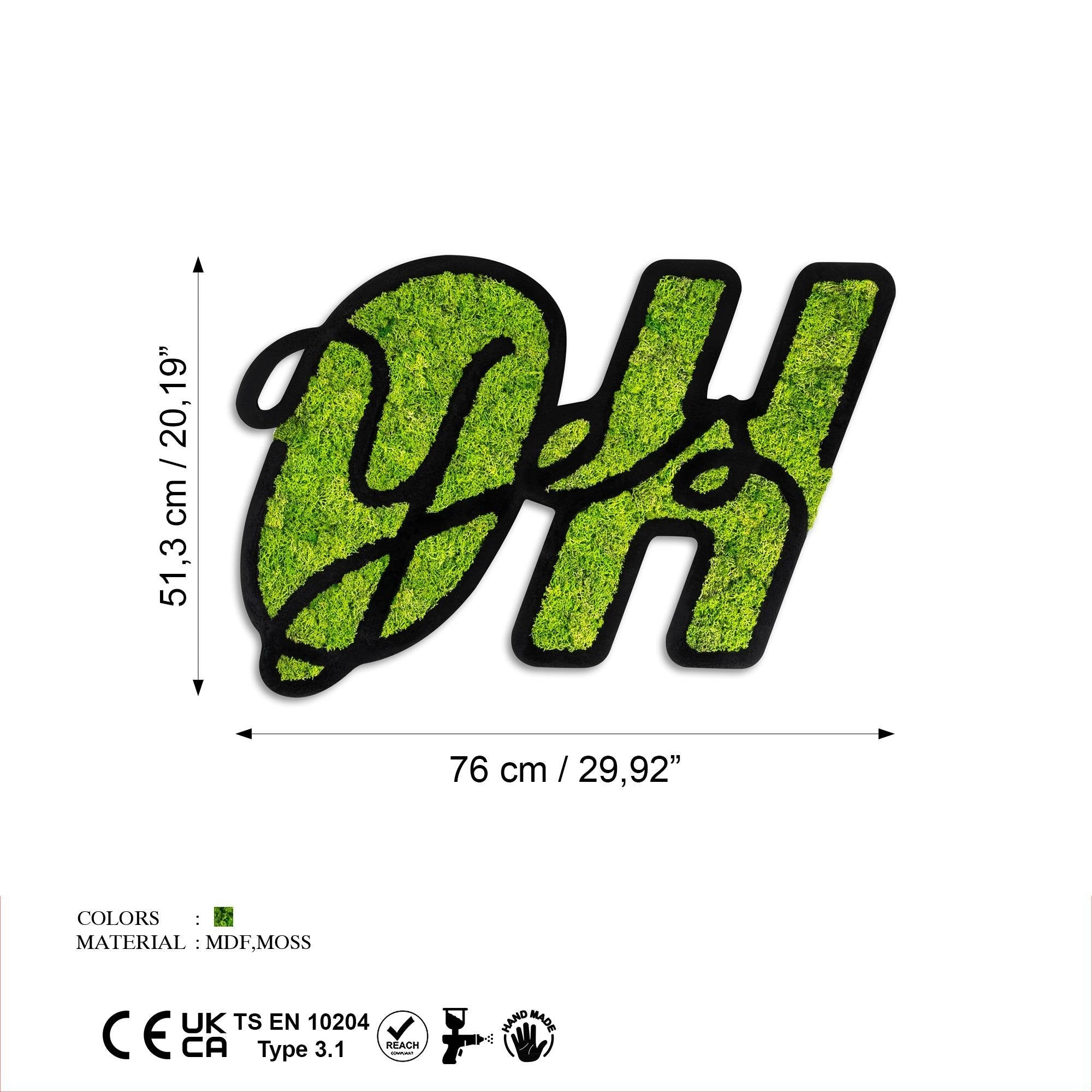 YNS-023 Dekoratif Yosun Duvar Tablosu | ByLamp