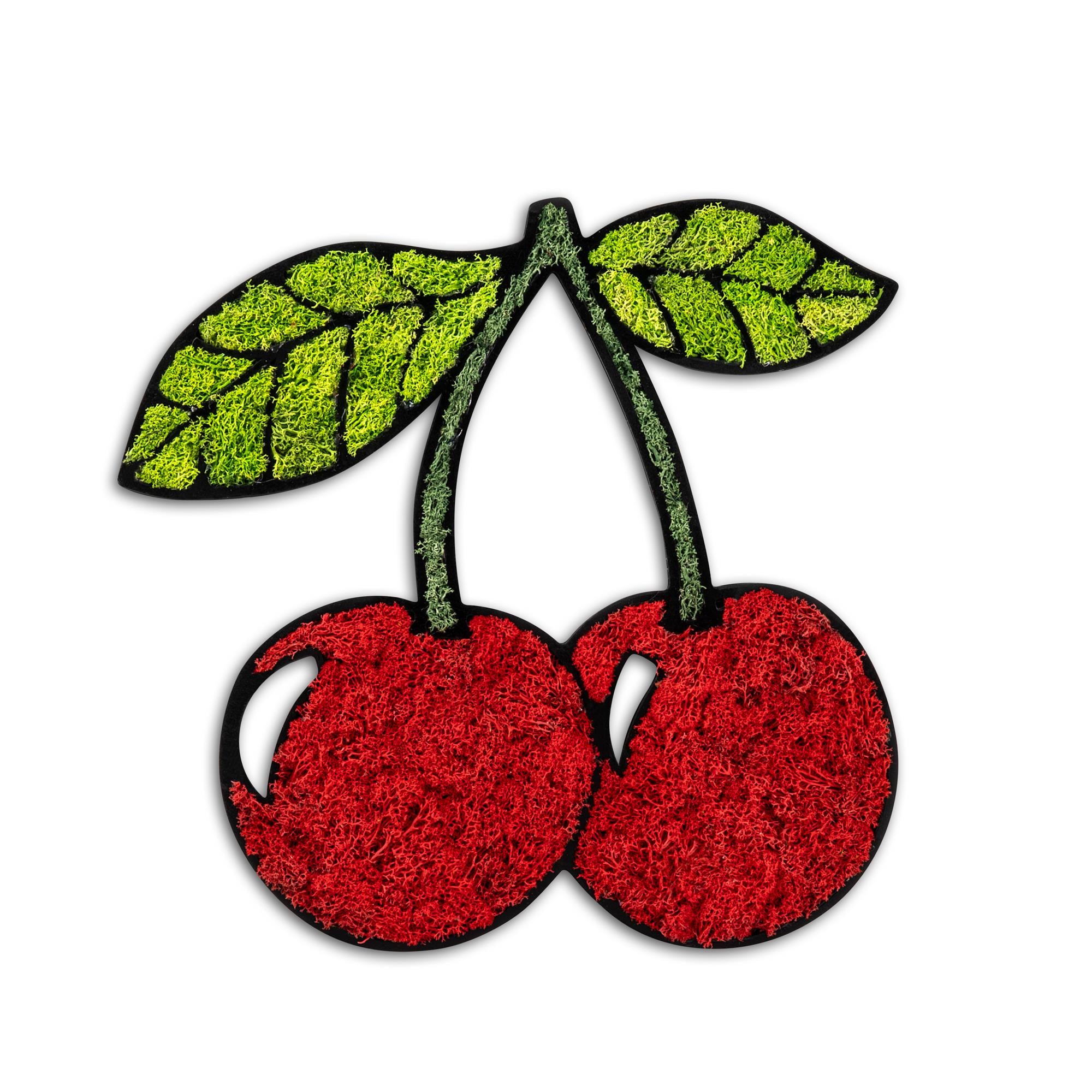 YNS-024 Dekoratif Yosun Duvar Tablosu | ByLamp