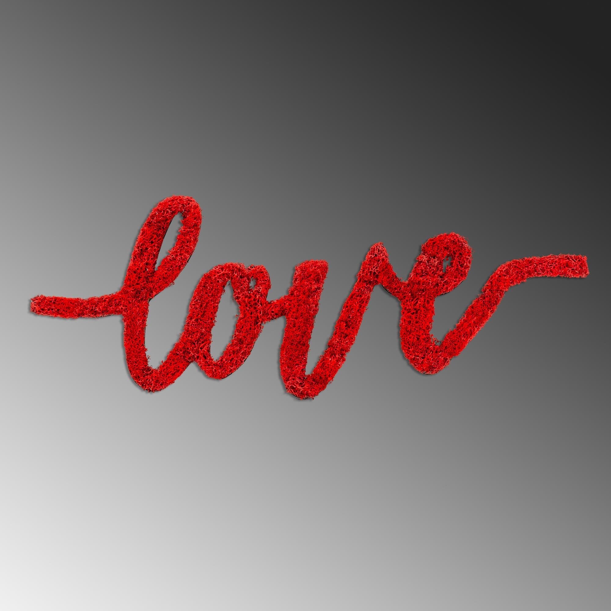 YNS-031 Dekoratif Yosun Duvar Tablosu | ByLamp