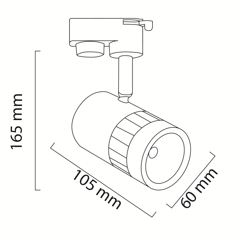 13 Watt Ray Spot