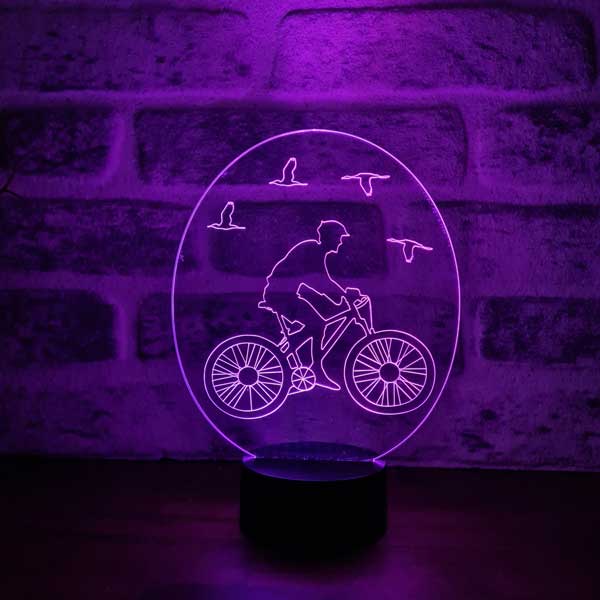 3D Bicycle & Bird Lamp