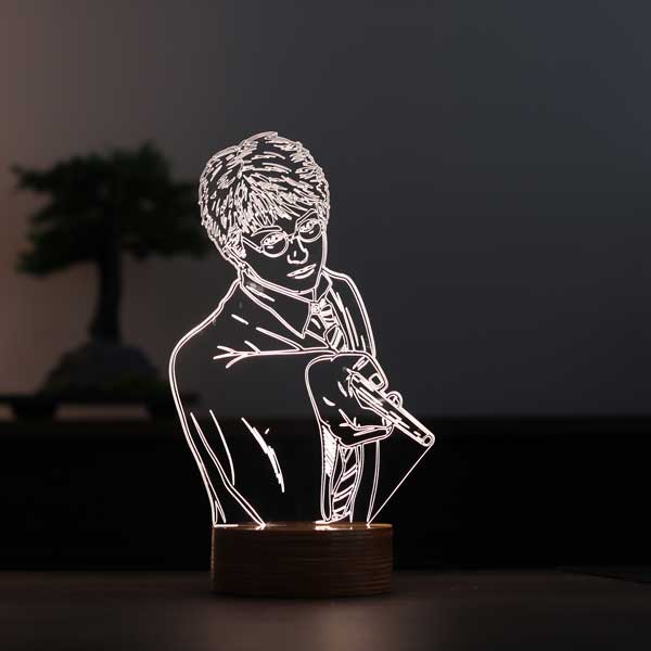 3D Harry Potter LED Lamp