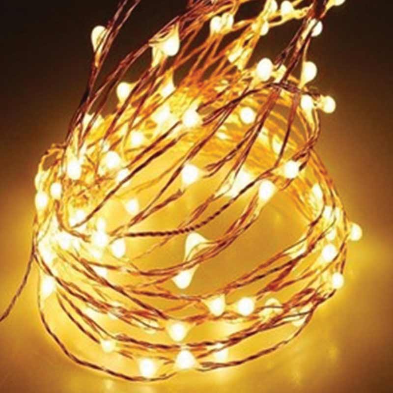 Copper Wire Fairy Led 2 Meter Battery