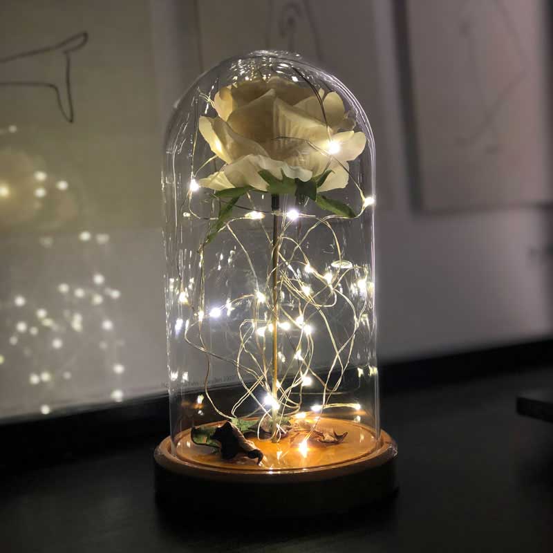 Weiße Rose beleuchtet Glas Fanus Lampe