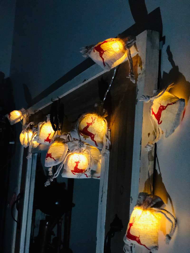 Christmas Sack Lights with Deer Figure