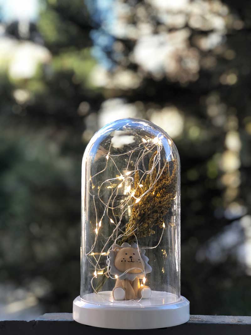 Illuminated Glass Fanus Lion and Flower Figured Lamp