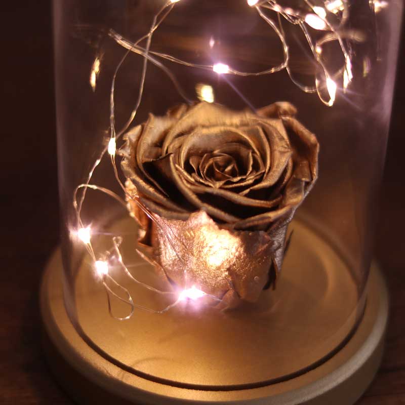 Illuminated Glass Fanus Gold Fading Rose Lamp