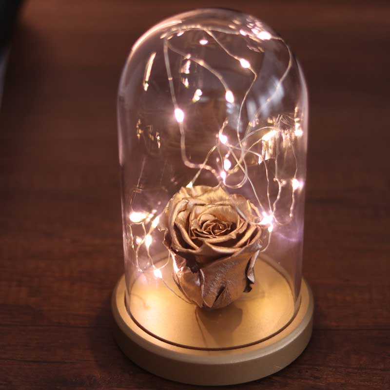 Illuminated Glass Fanus Gold Fading Rose Lamp