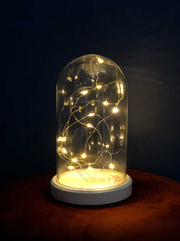 Illuminated Glass Fanus Daylight LED Table Lamp
