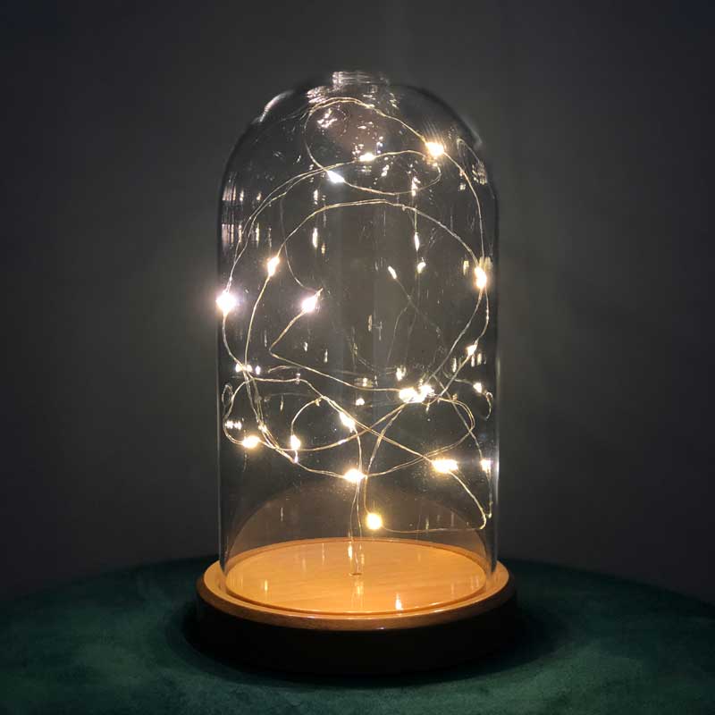 Beleuchtete Glasfanus-Tageslicht-LED-Tischlampe